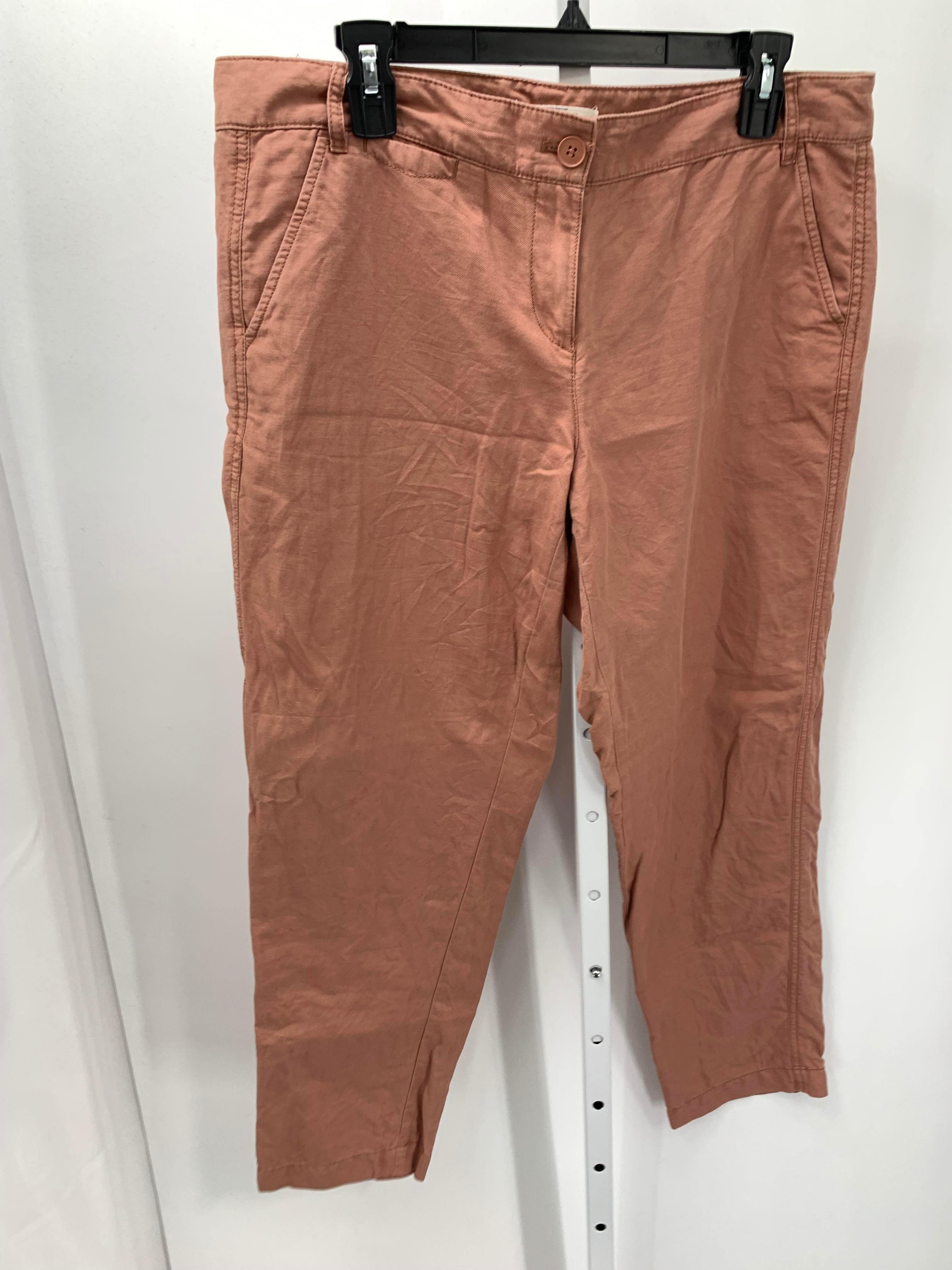 Loft Size 10 Misses Pants