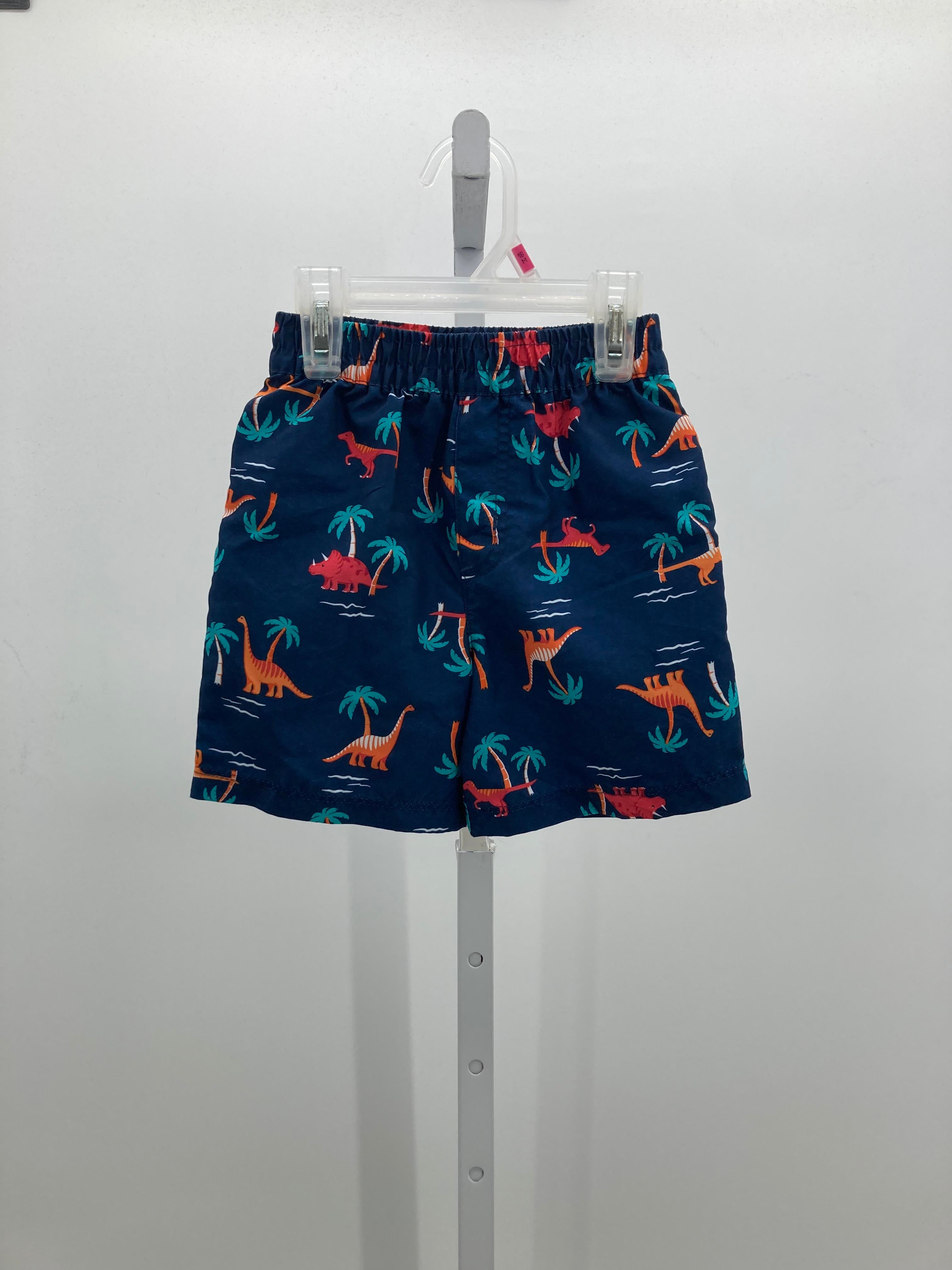 PALM TREES DINOS
