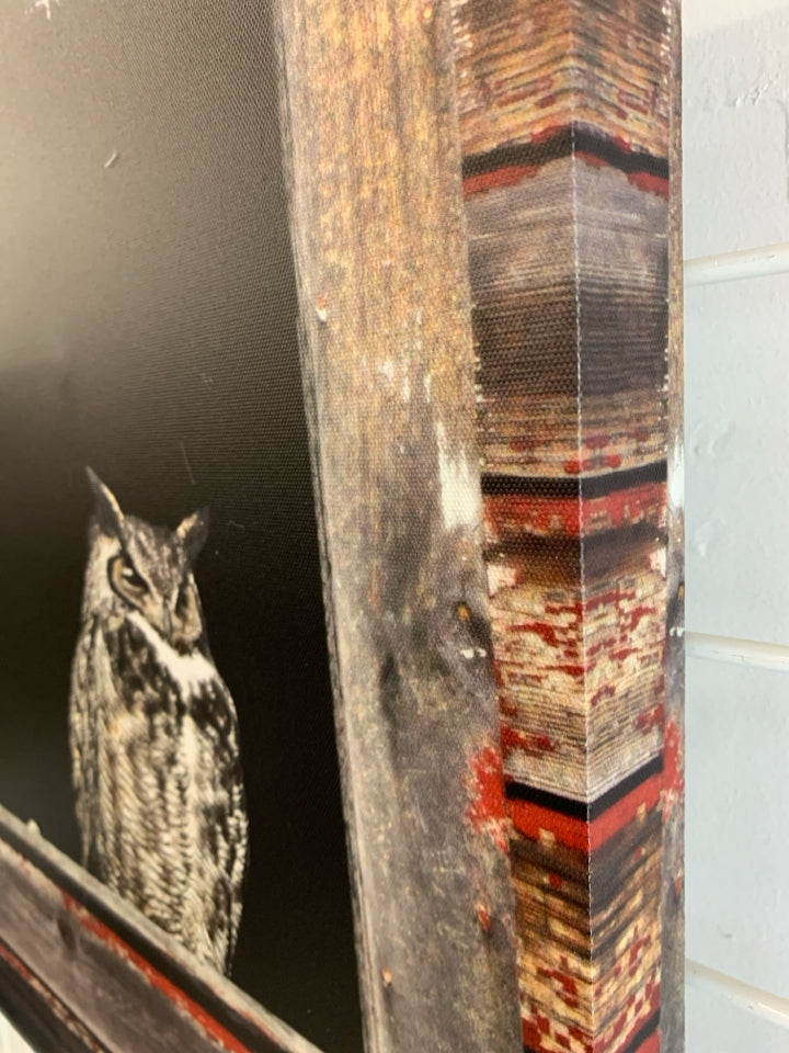 OWL IN WINDOW FRAME CANVAS PRINT.