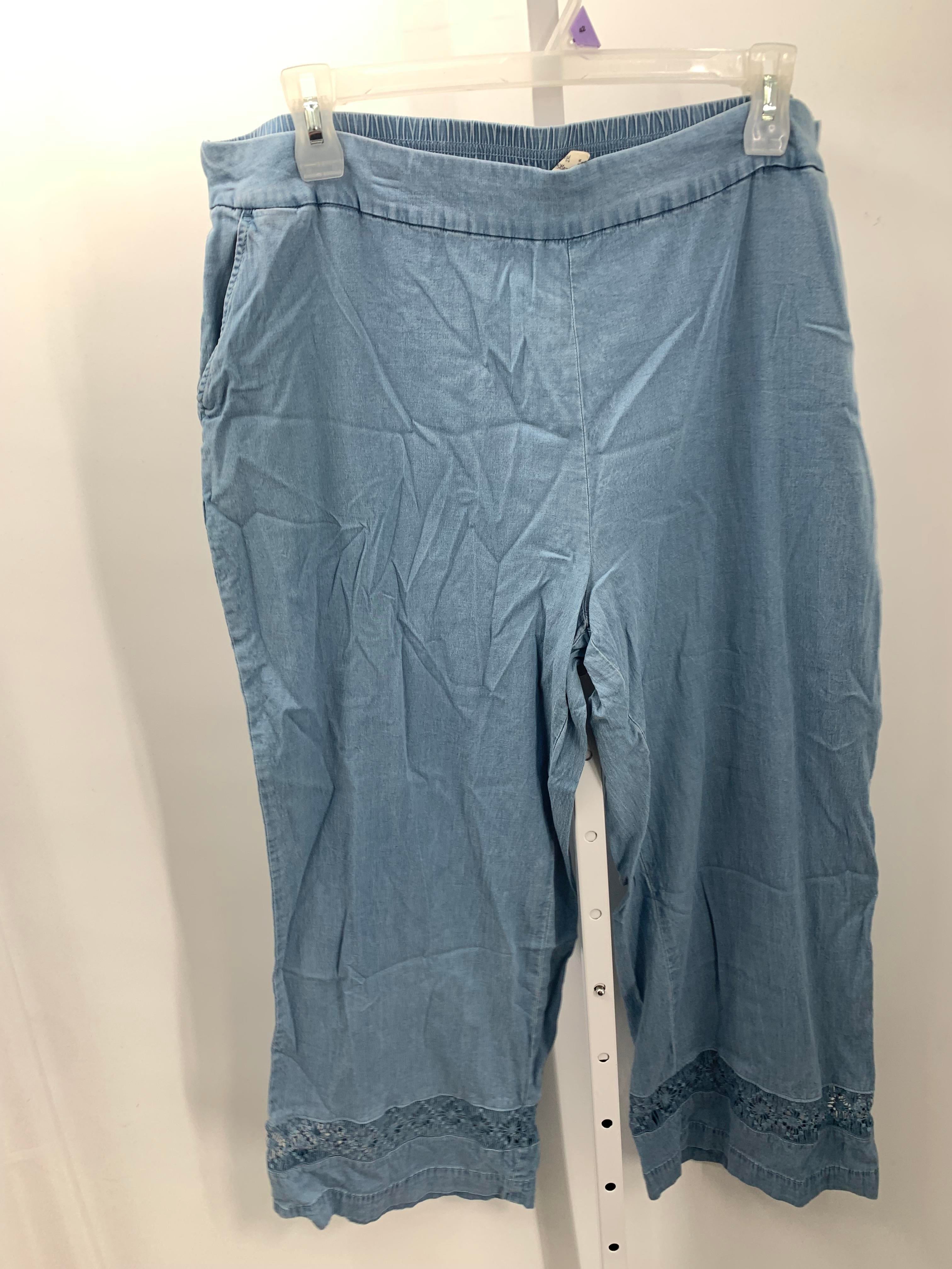 ISSI Size 1X Womens Pants