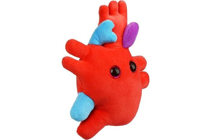 Giant Microbes Heart Organ