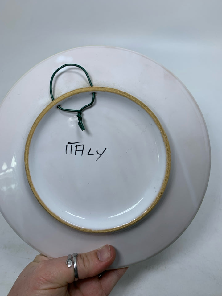 COLORFUL DECORATIVE HANGING PLATE MADE IN ITALY.