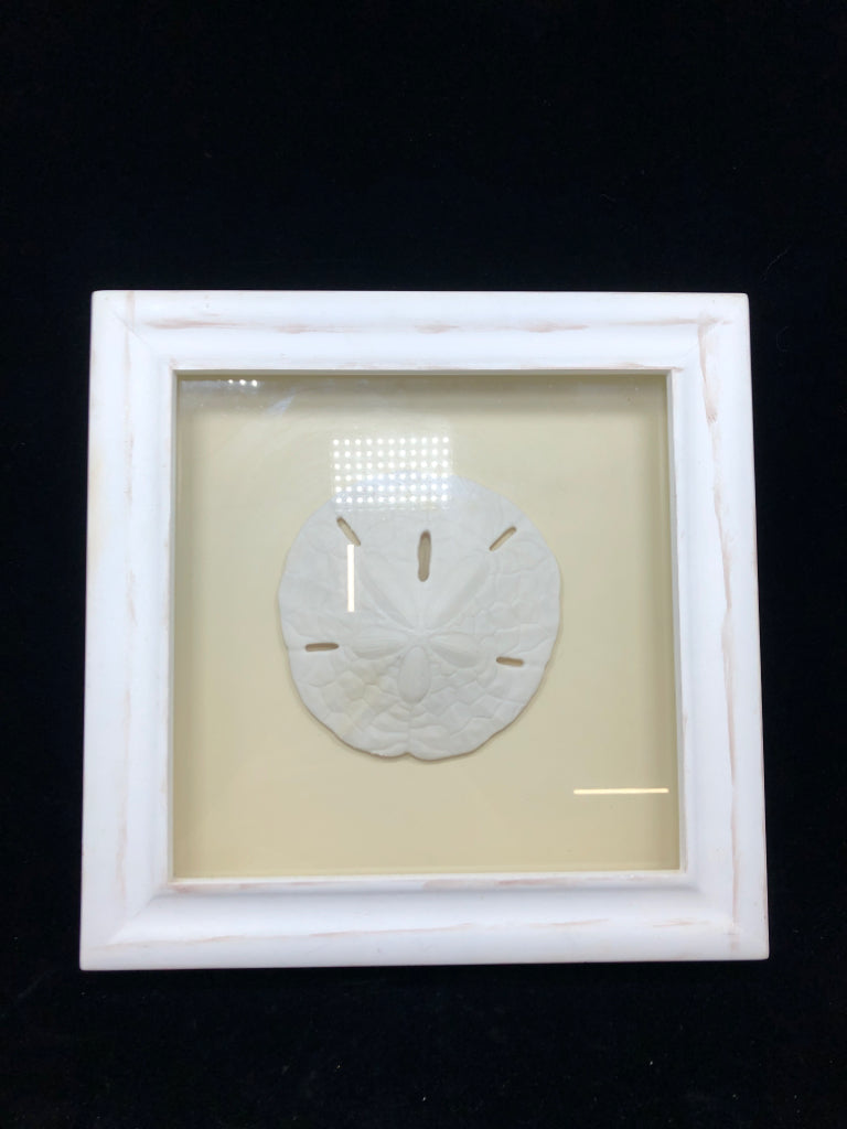 SAND DOLLAR IN SHADOW BOX WALL-HANGING.