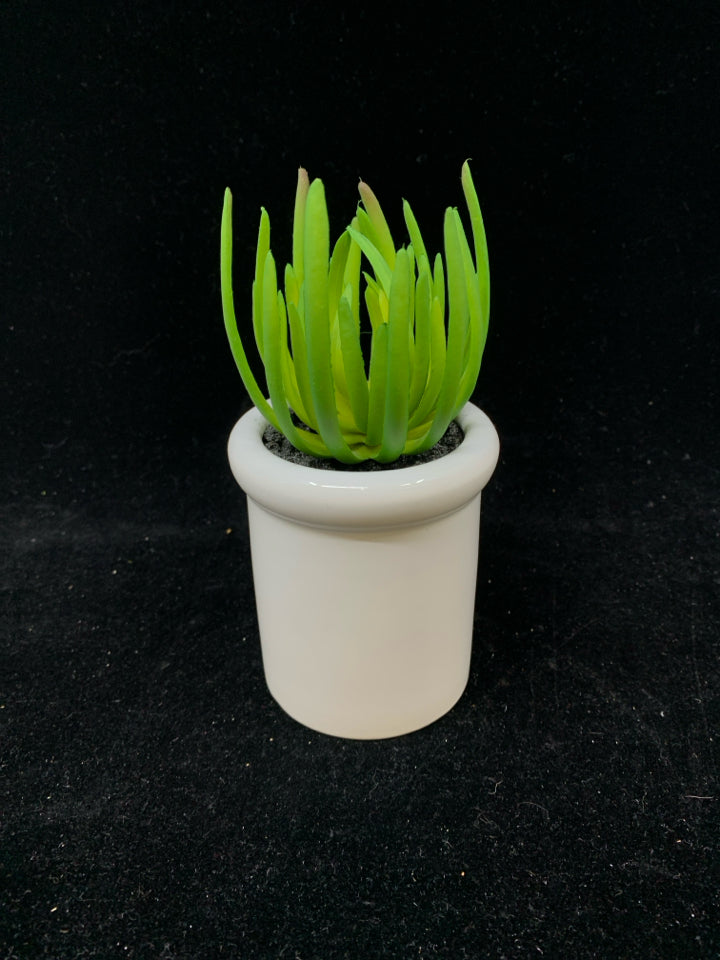 FAUX SUCCULENT IN WHITE POT.