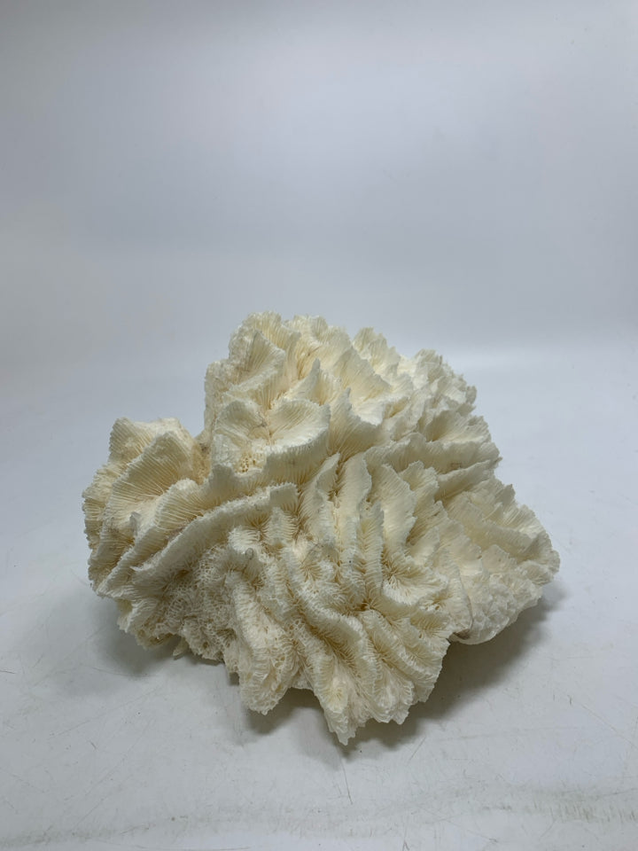 LARGE WHITE PIECE OF DECORATIVE CORAL.