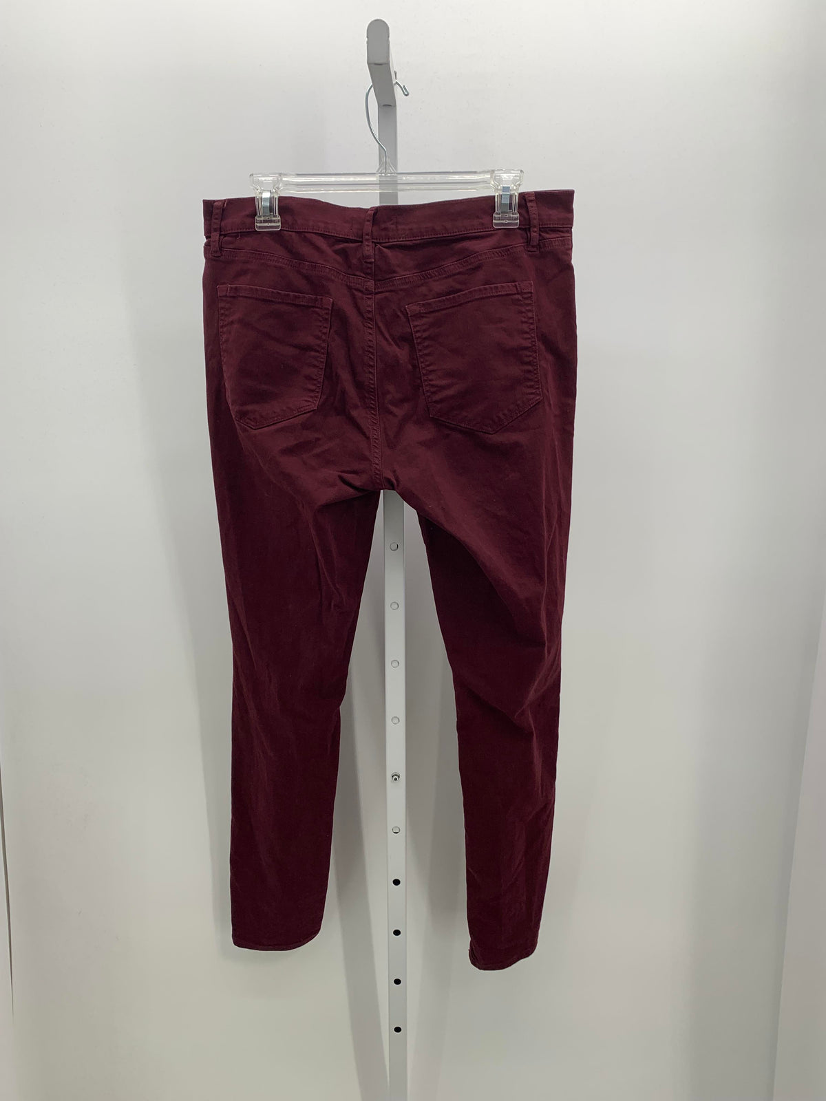 Loft Size 10 Misses Pants