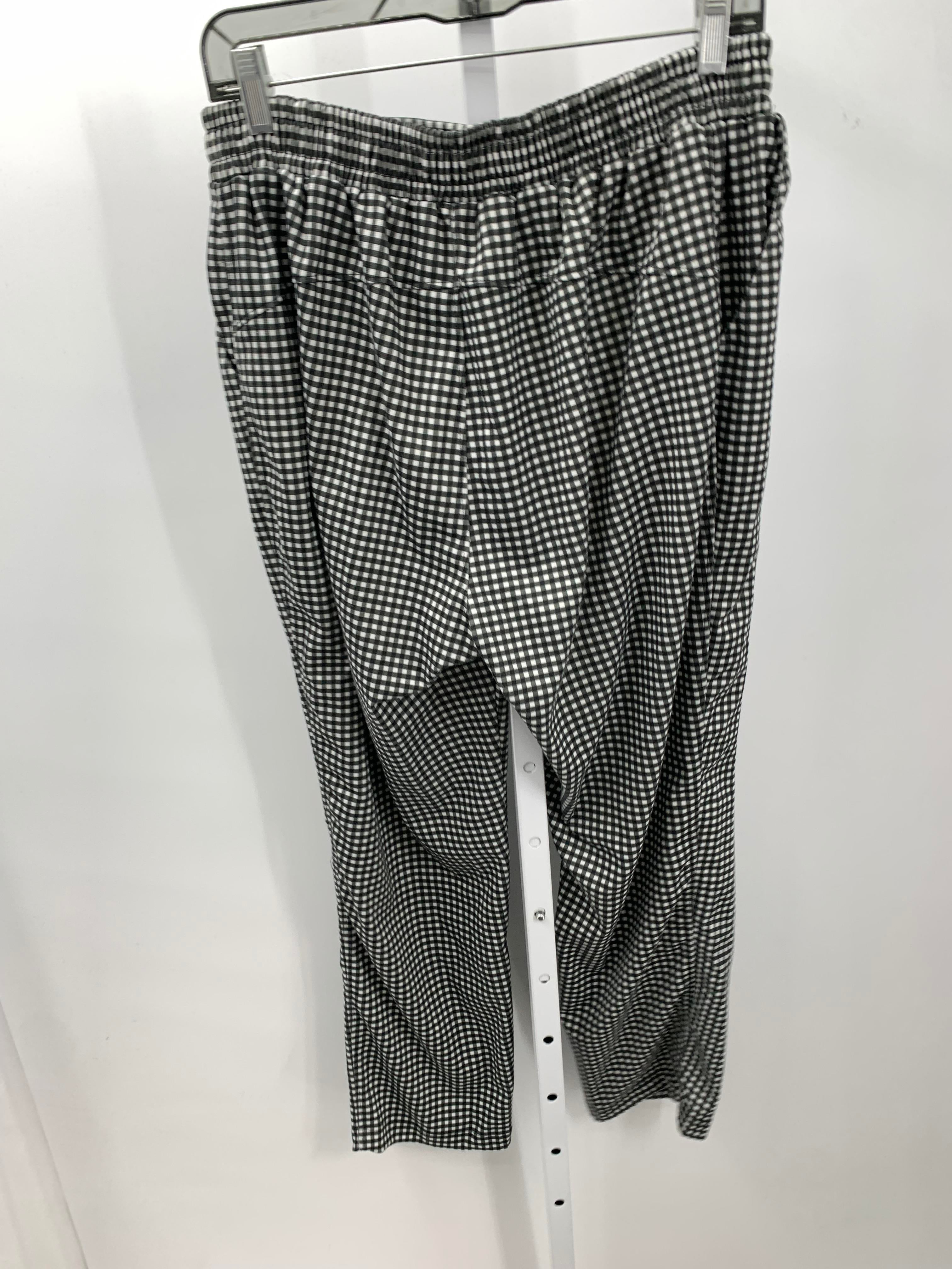 Lularoe Size Large Misses Pants