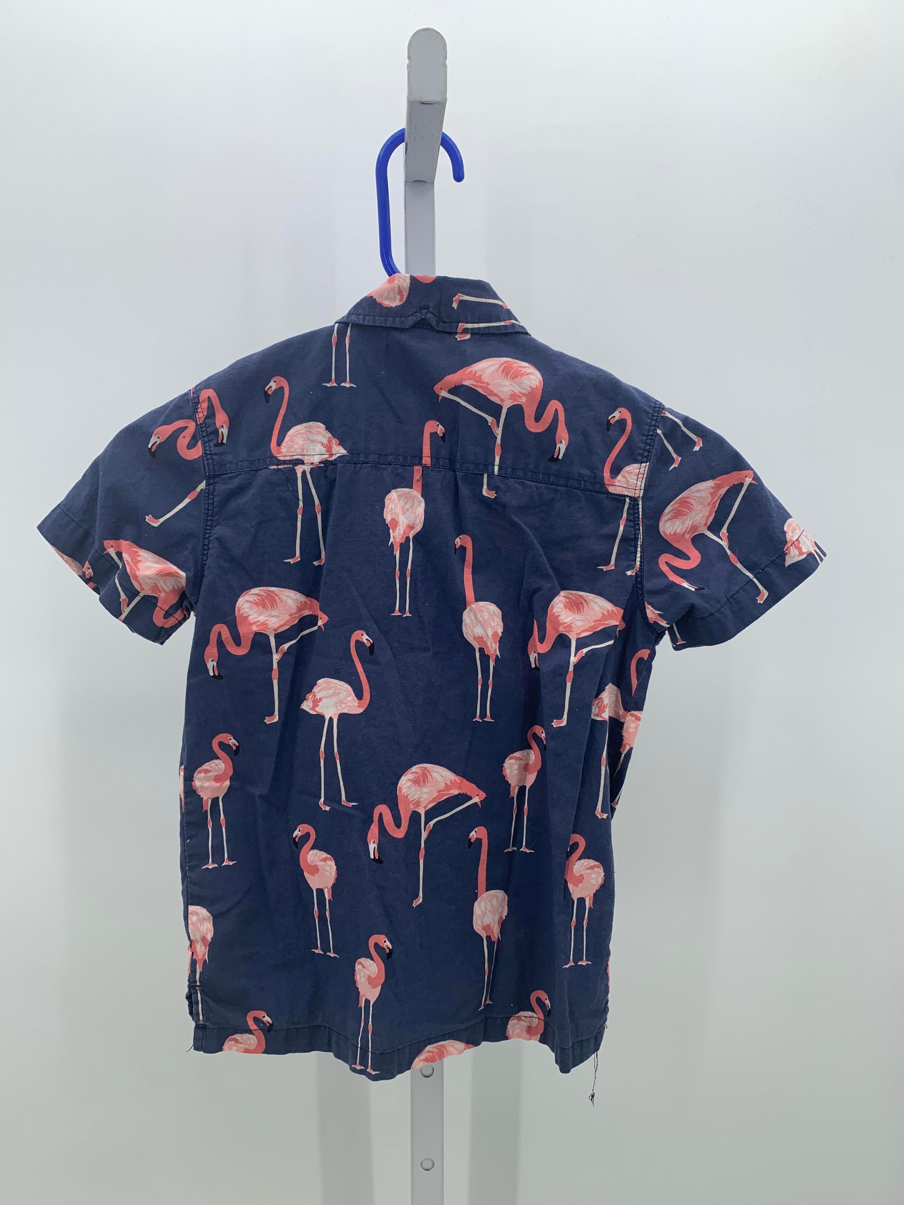 PINK FLAMINGOS.