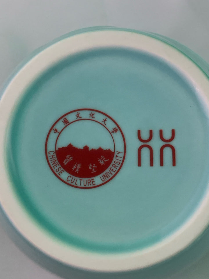 TEAL ASIAN STYLE CLOUD PATTERN MUG.