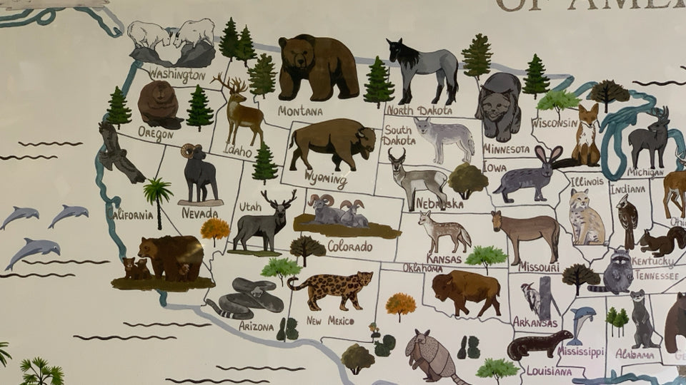 WHITE FRAME USA MAP WITH ANIMALS.