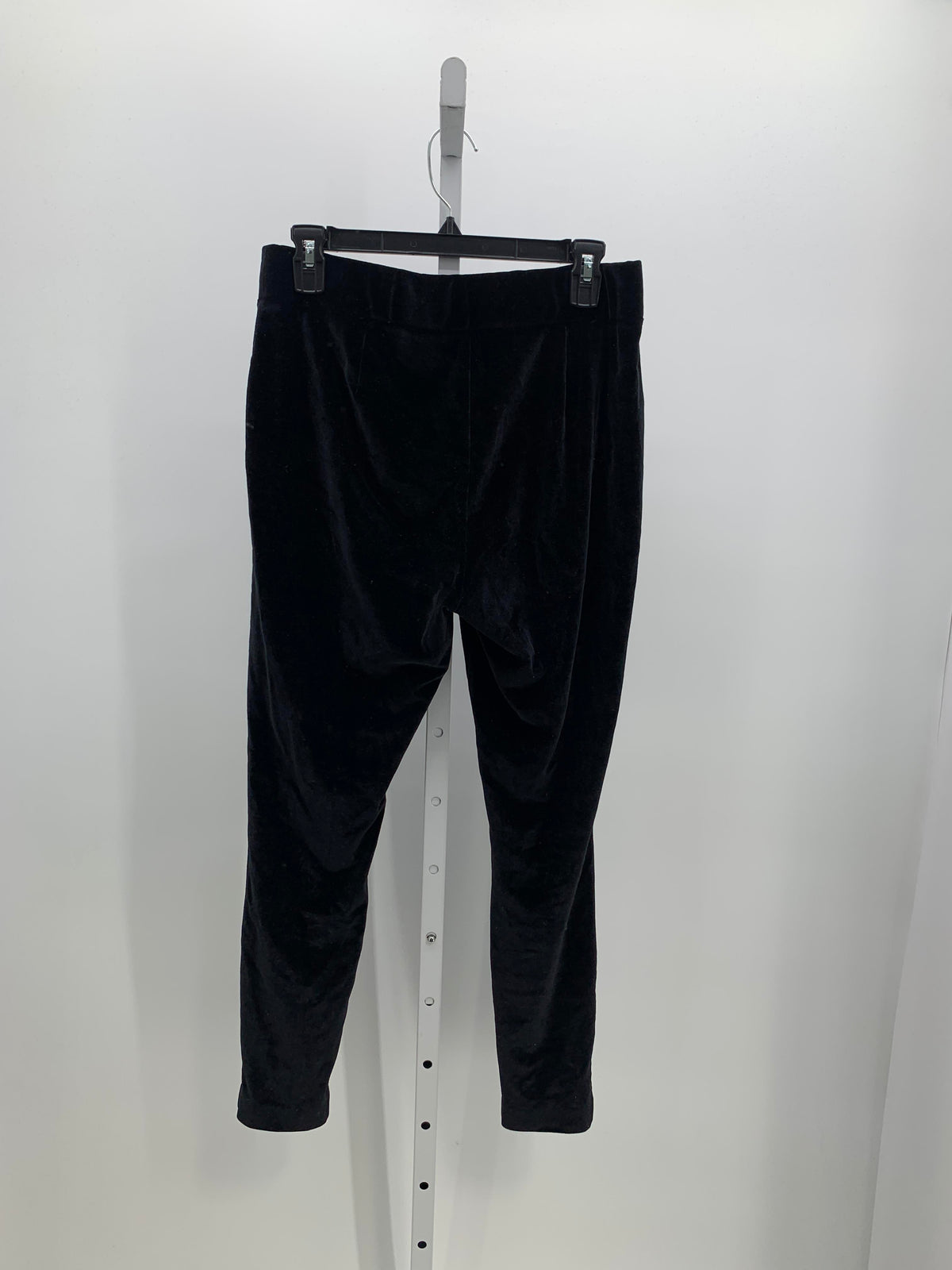 Loft Size Large Petite Petite Pants
