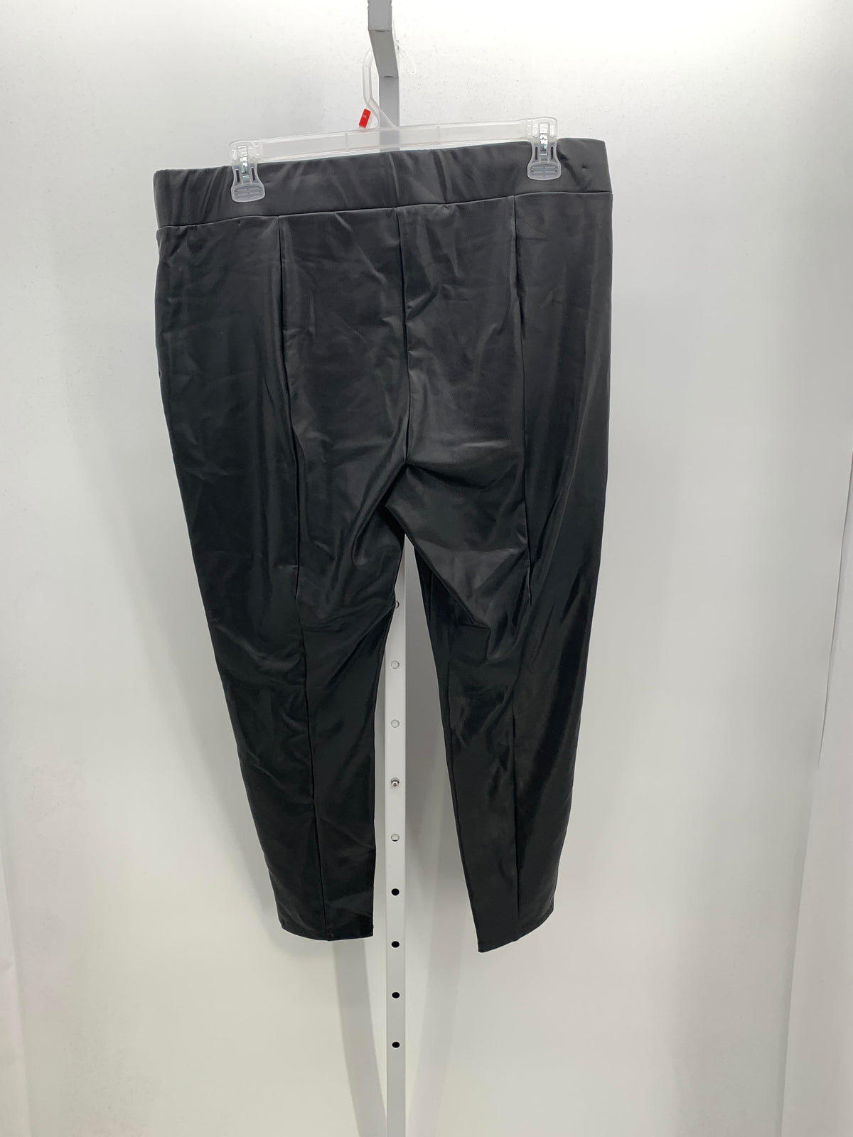 Loft Size XXL Misses Pants