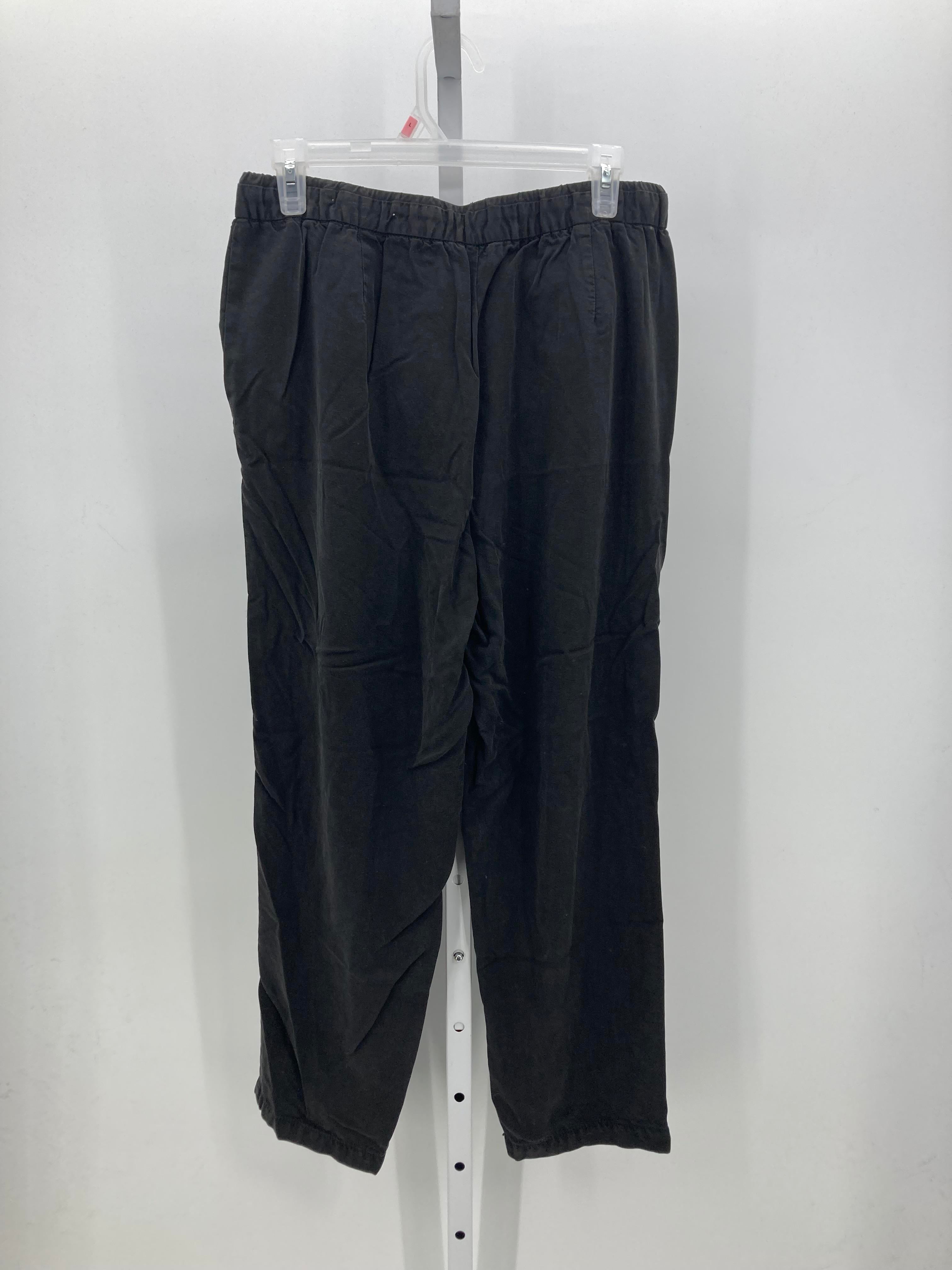 American Eagle Size 6 Juniors Pants