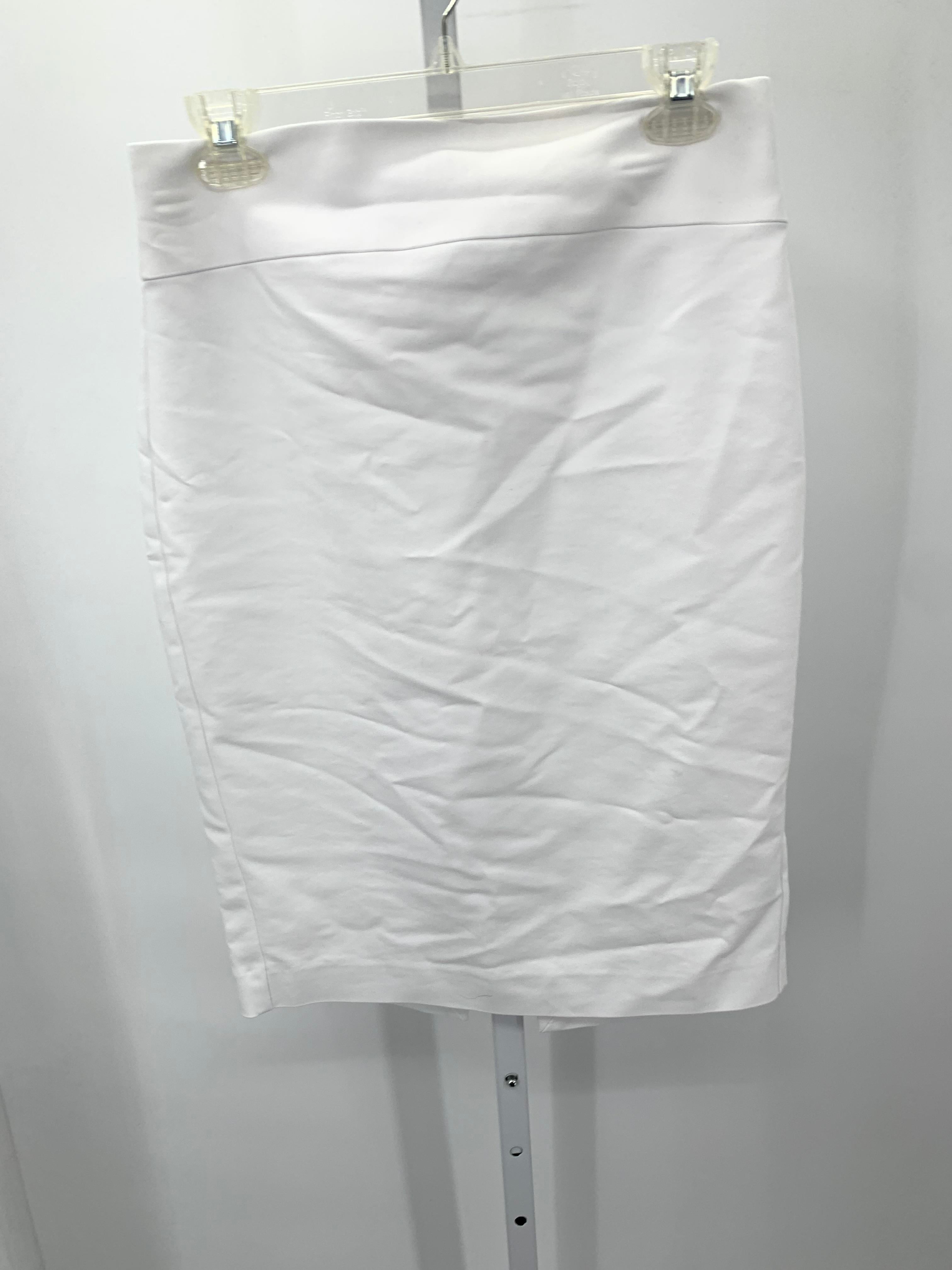 Express Size 8 Misses Skirt
