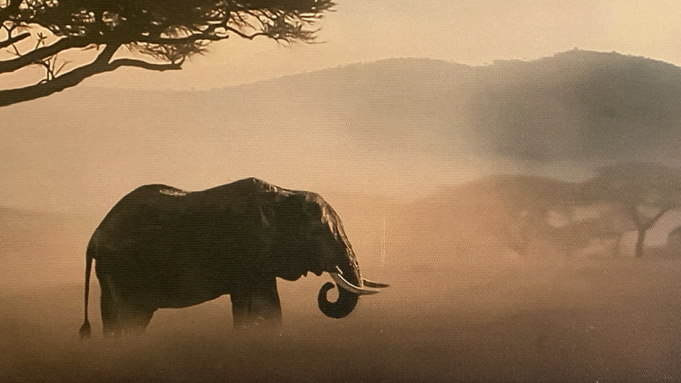RECTANGLE ELEPHANT SILHOUETTE CANVAS WALL ART.