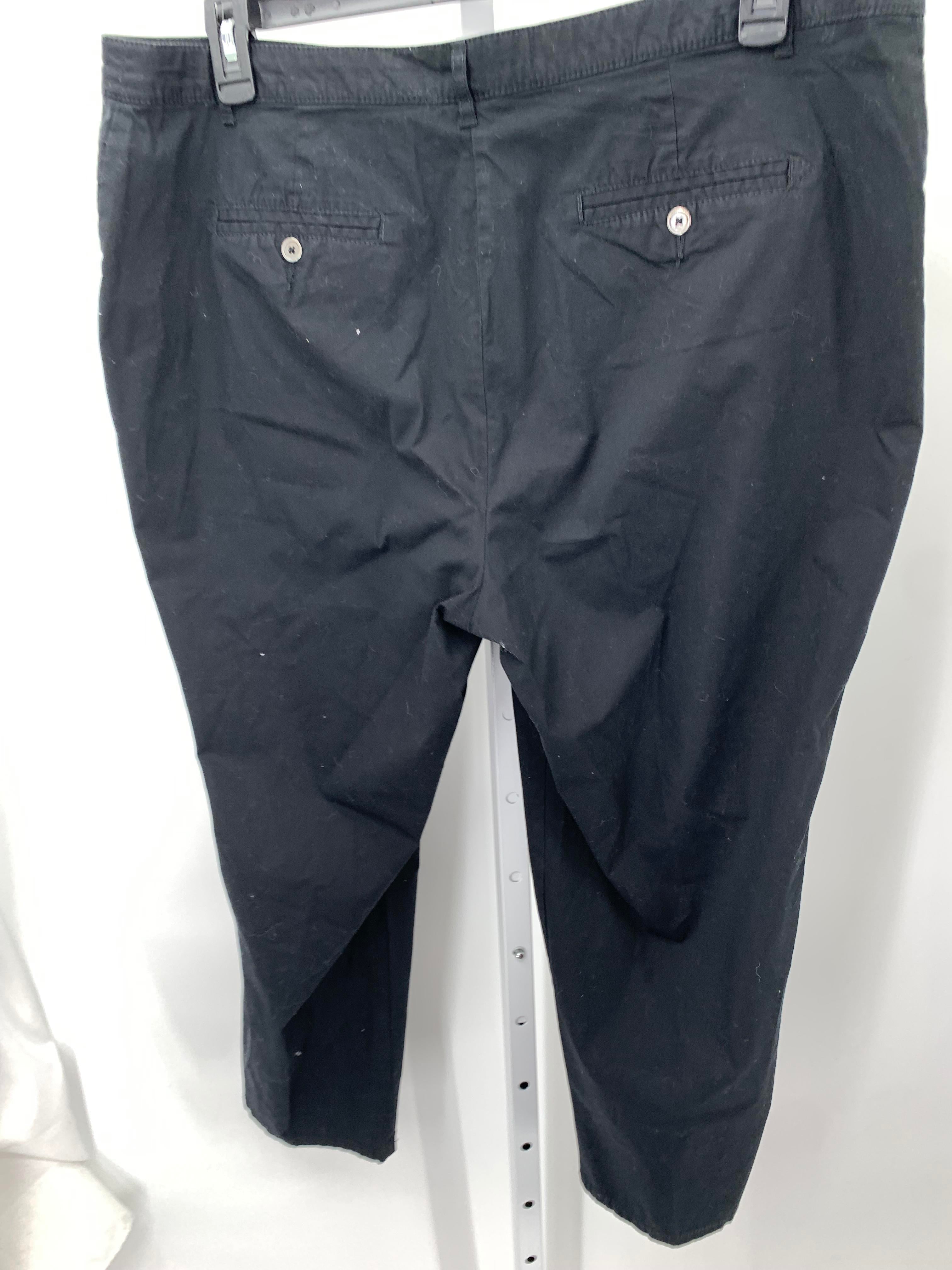 Dalia Collection Size 16 W Womens Pants