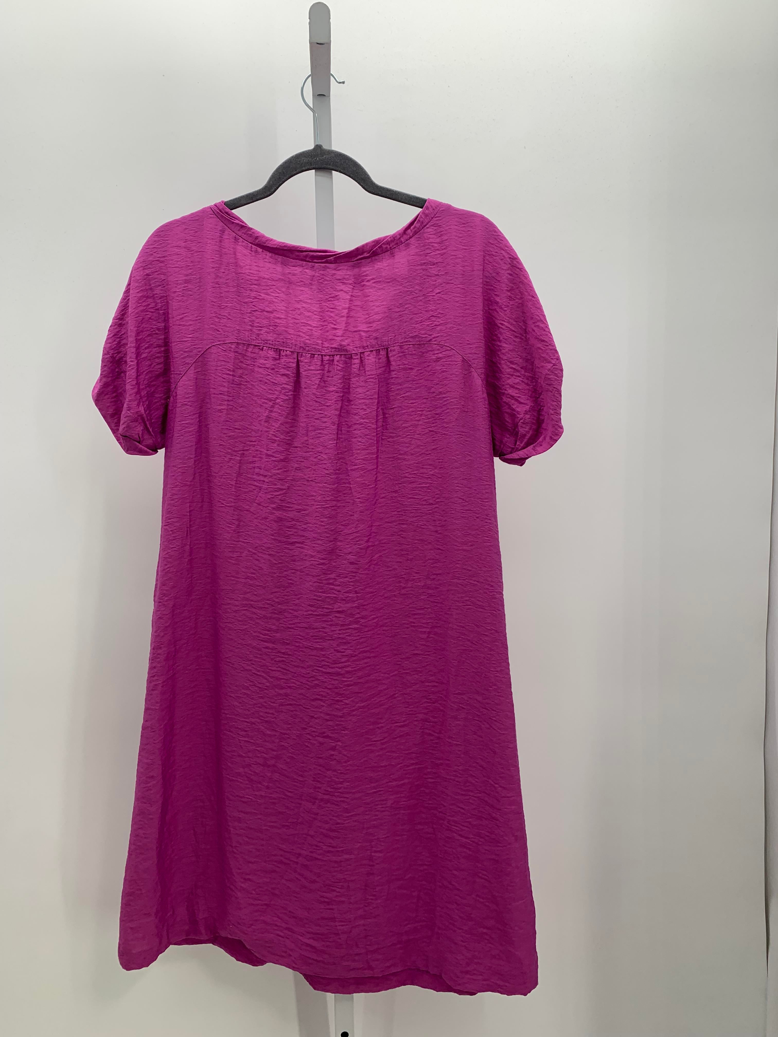 Gap Size Medium Misses Short Sleeve Dress