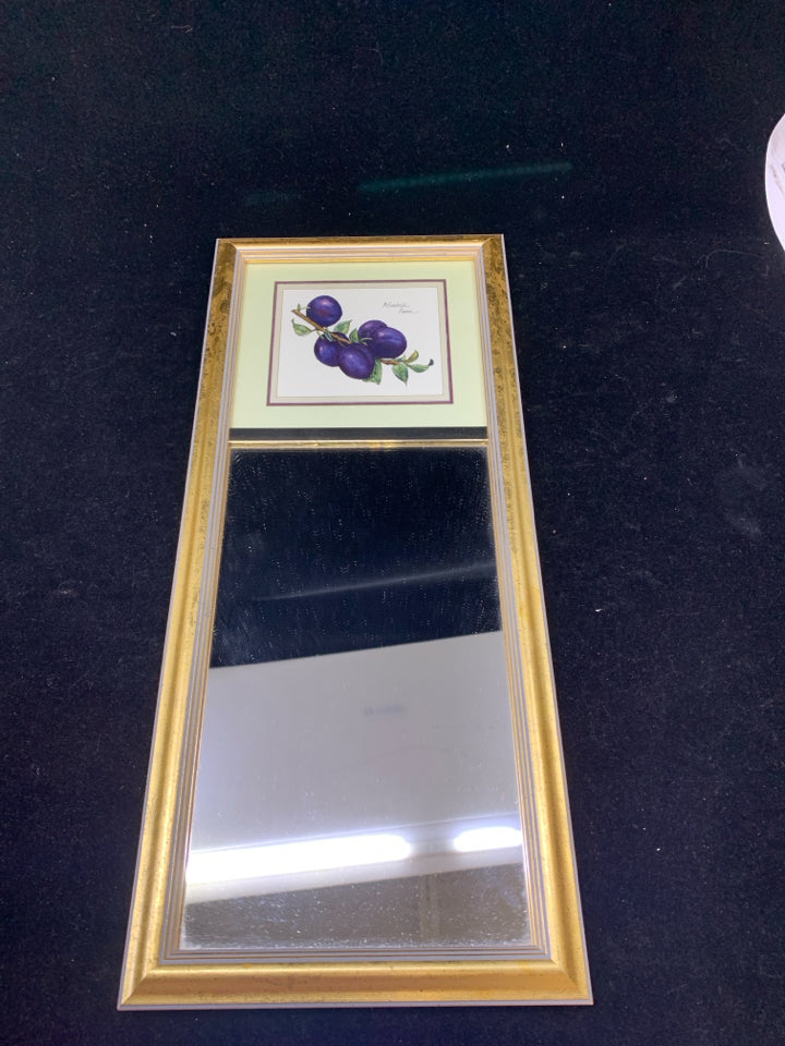 GOLD FRAME MIRROR W/ PURPLE PLUM.
