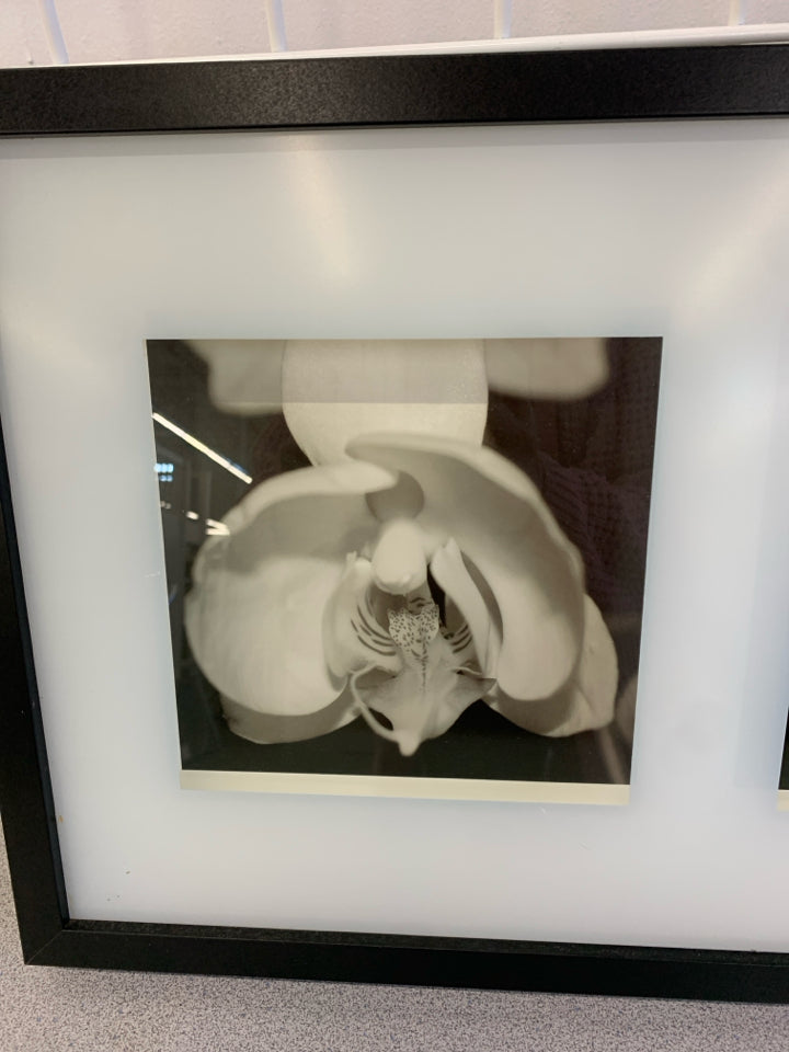 BLACK/WHITE FLOWERS SHADOWBOX WALL ART.