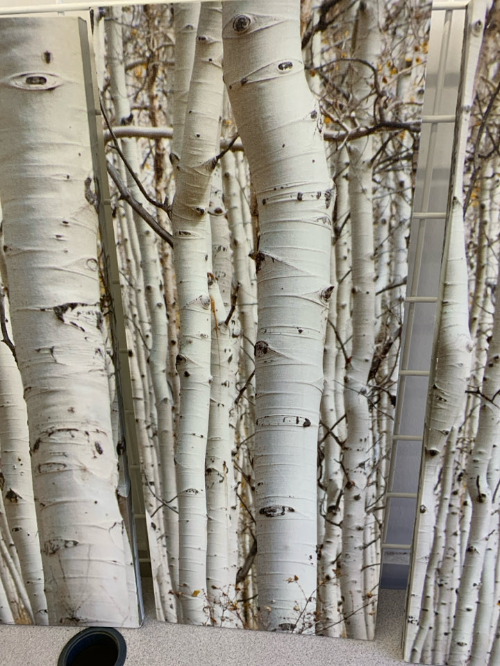 3 PC BIRCH TREE CANVAS WALL HANGING.