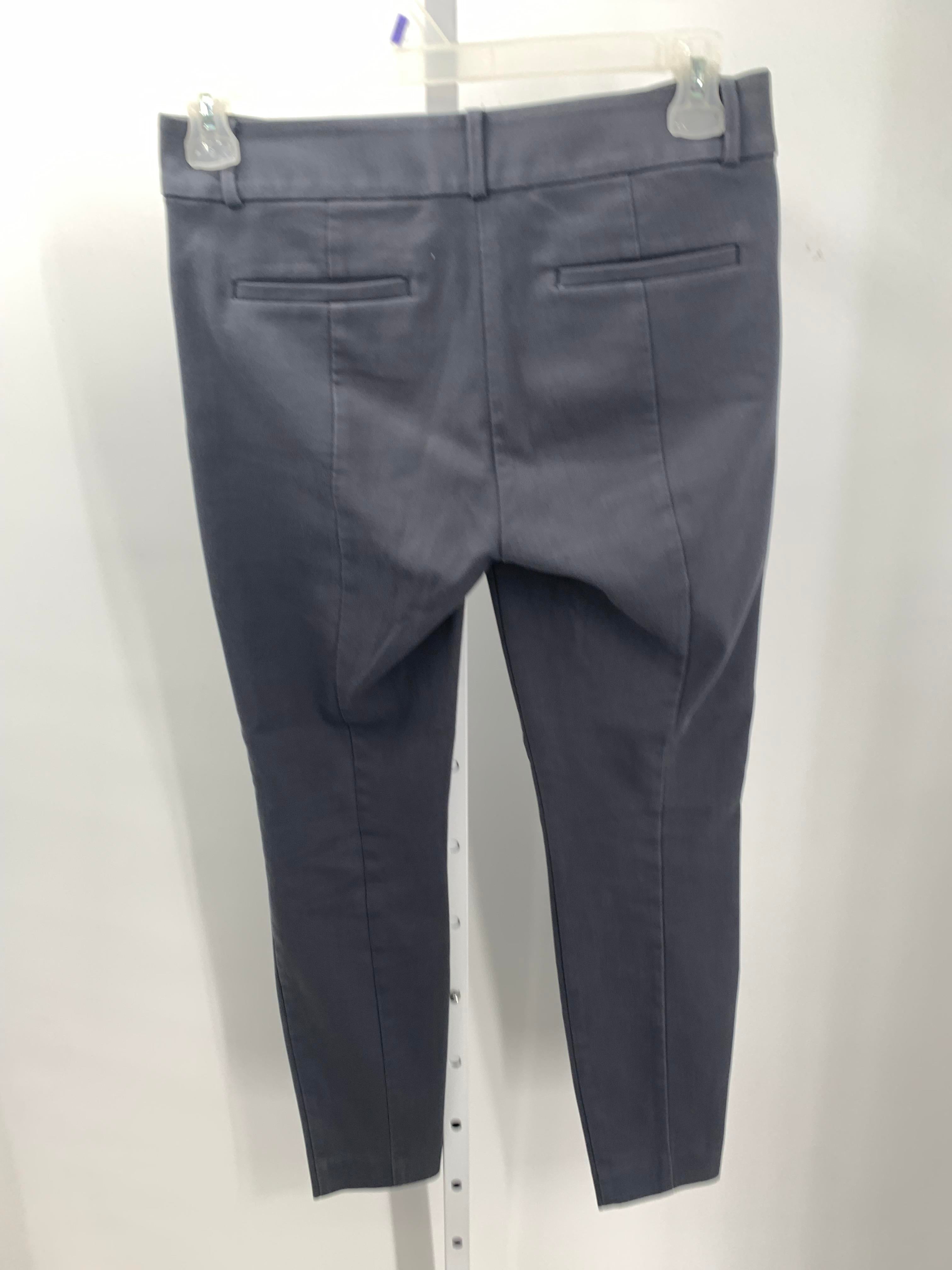 Loft Size 4 Misses Pants