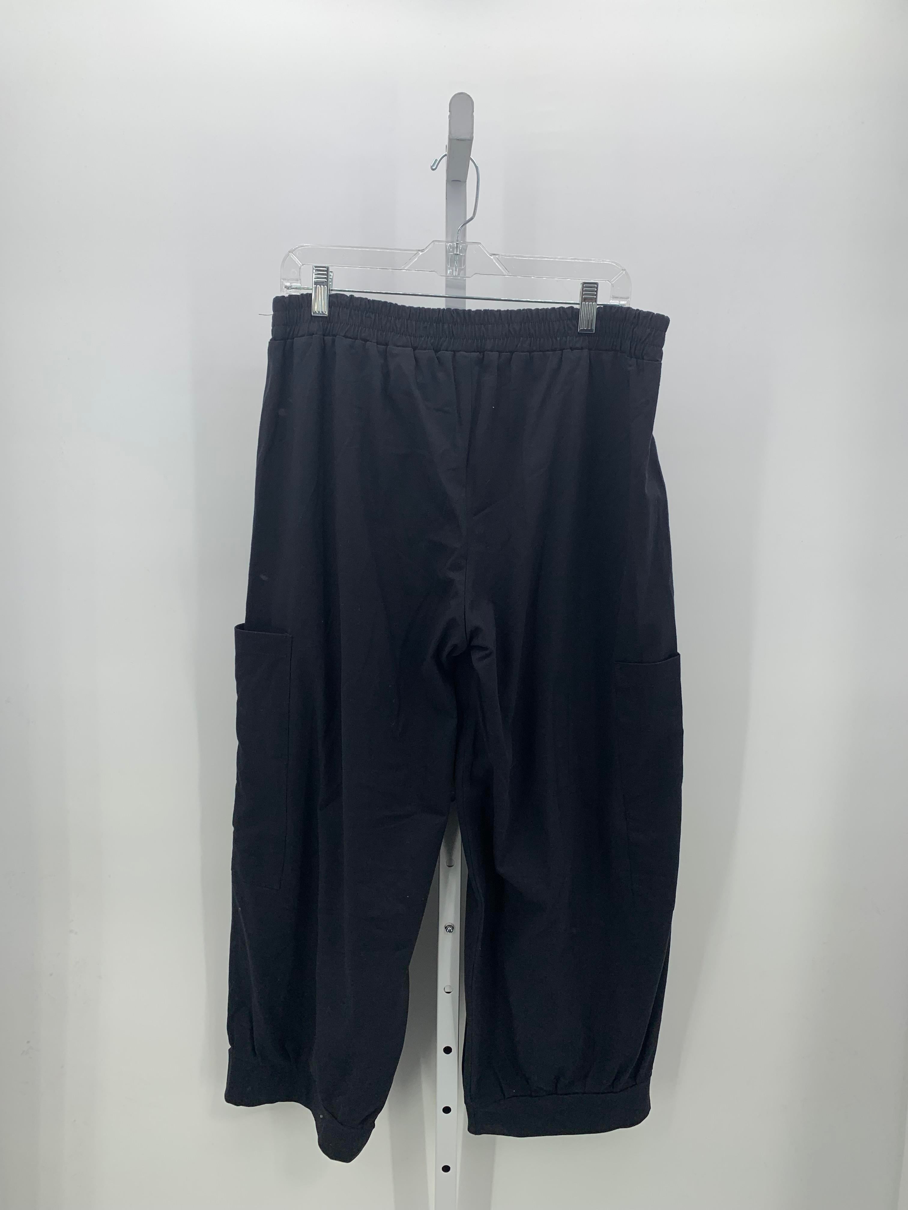 Size Extra Large Misses Pants