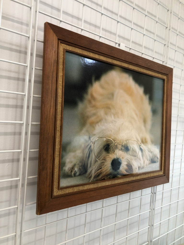 STUDIOUS DOG IN WOOD FRAME.