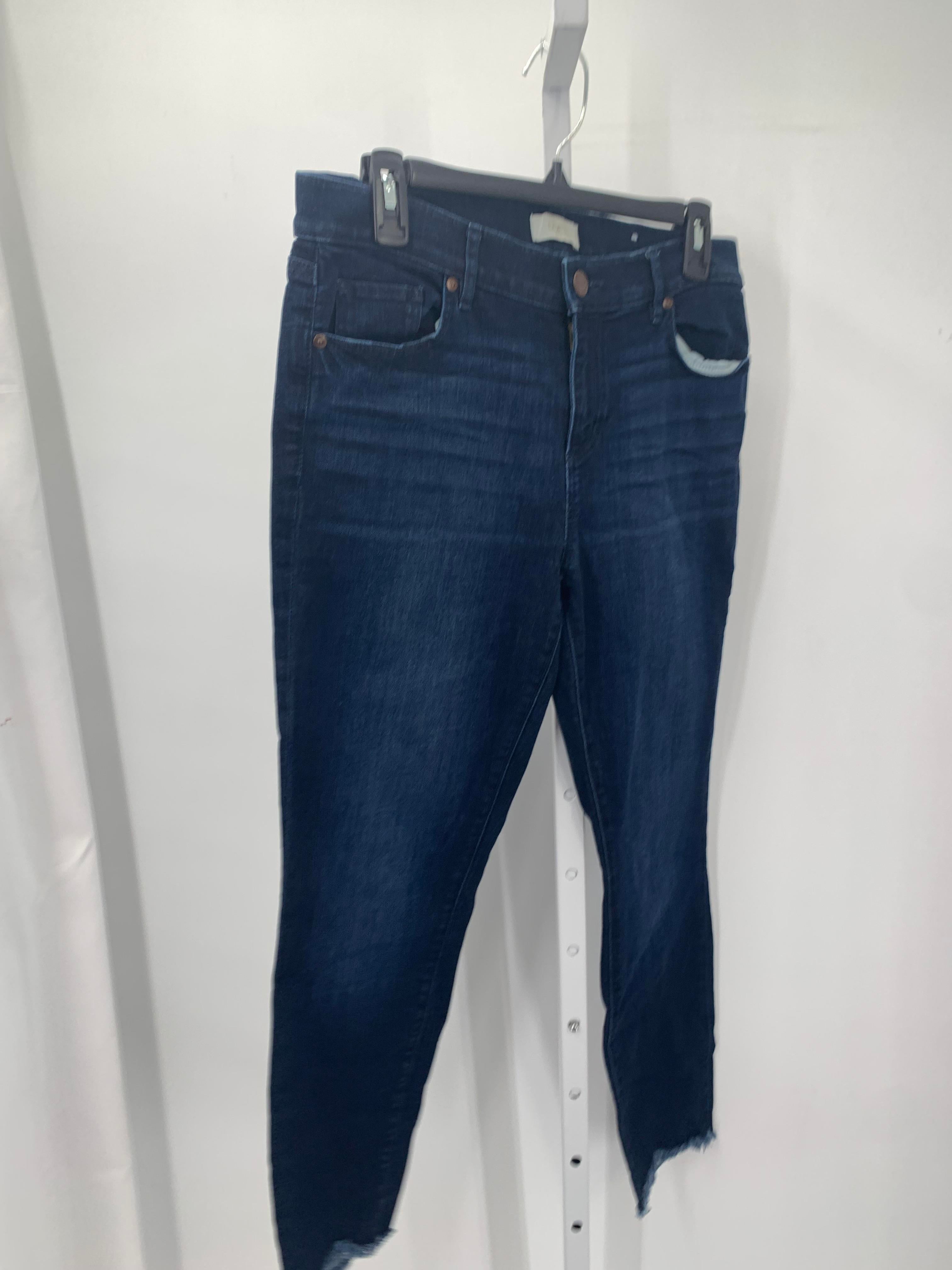 Loft Size 10 Misses Jeans