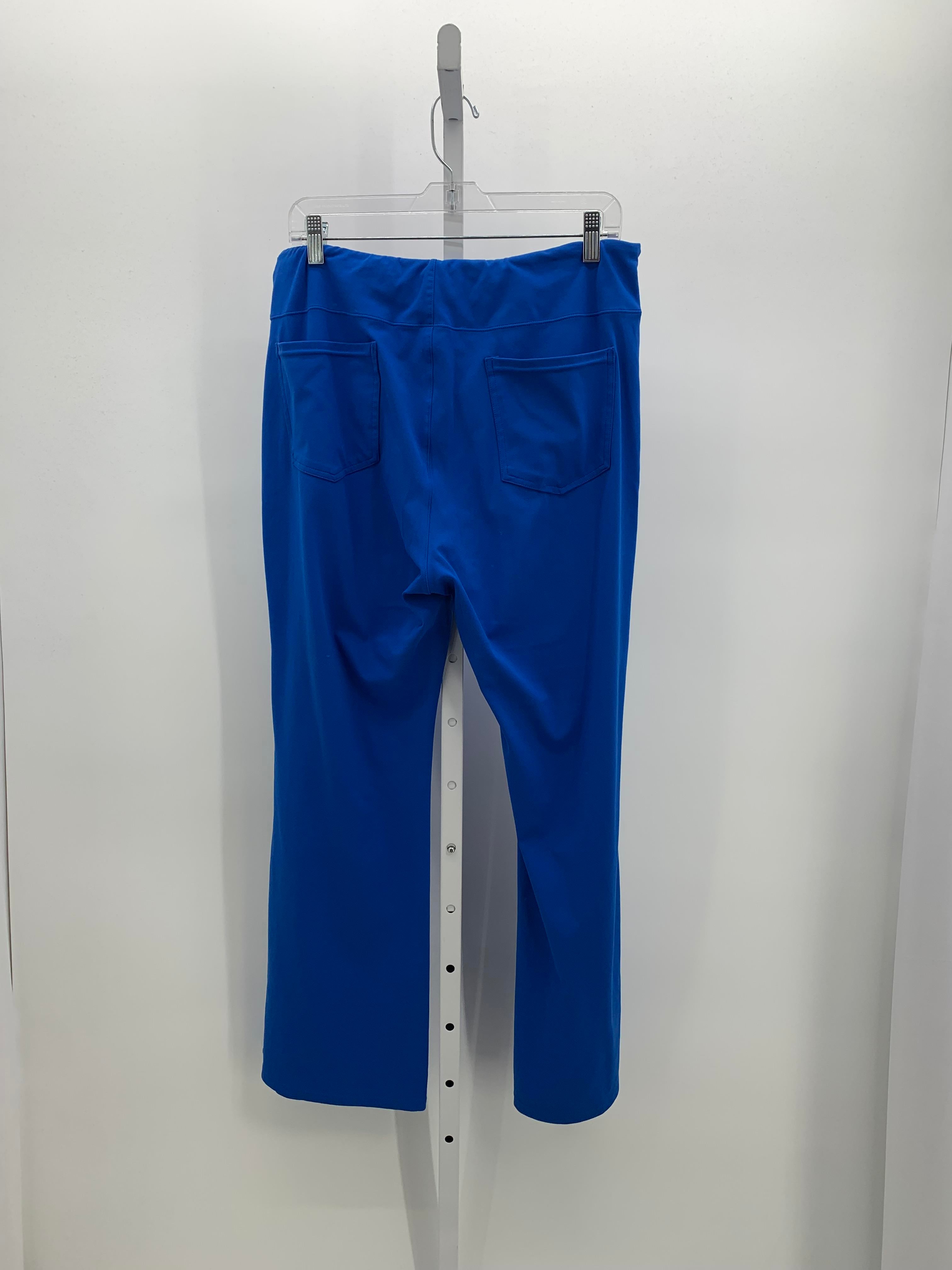 Size X Large Petite Petite Pants