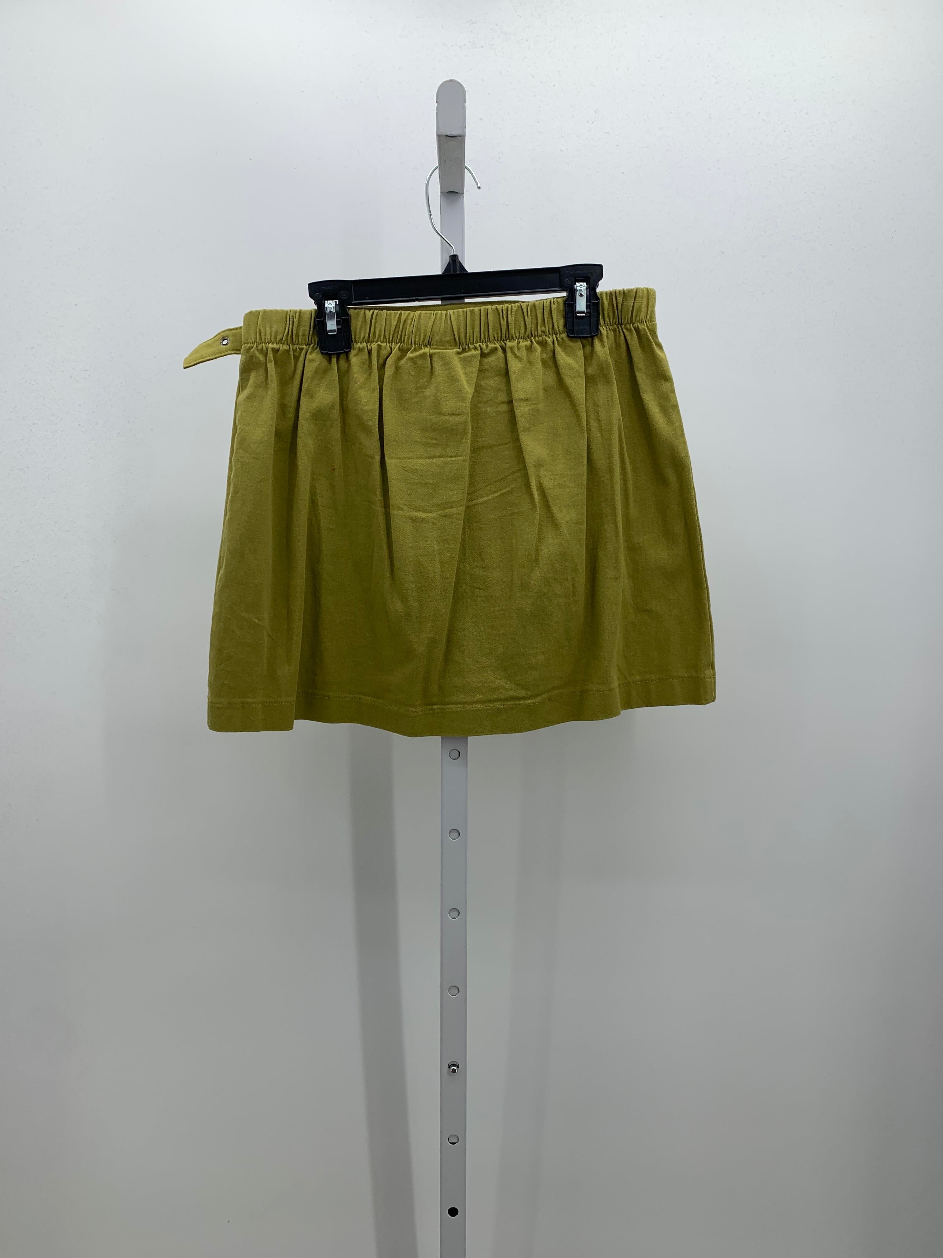 Wild Fable Size Small Juniors Skirt