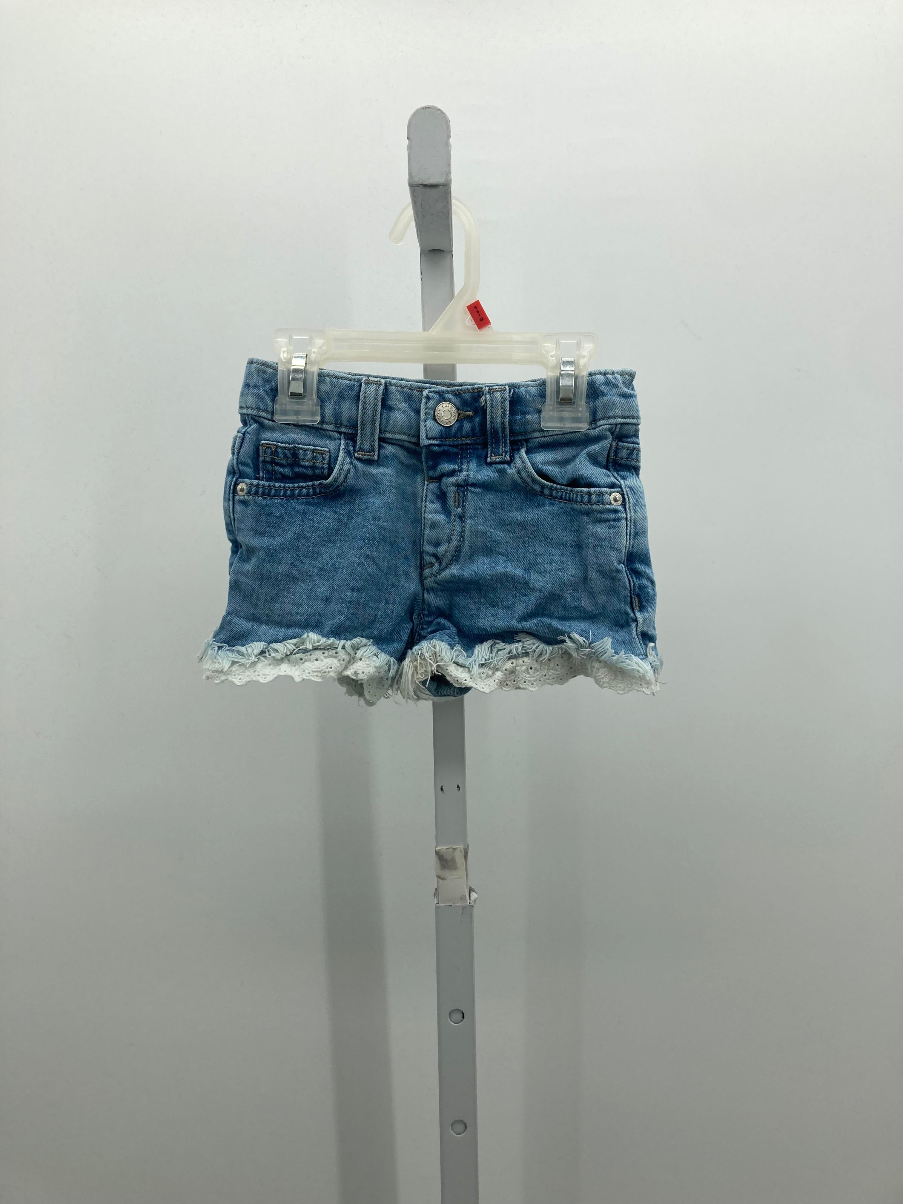 Cat & Jack Size 4T Girls Shorts