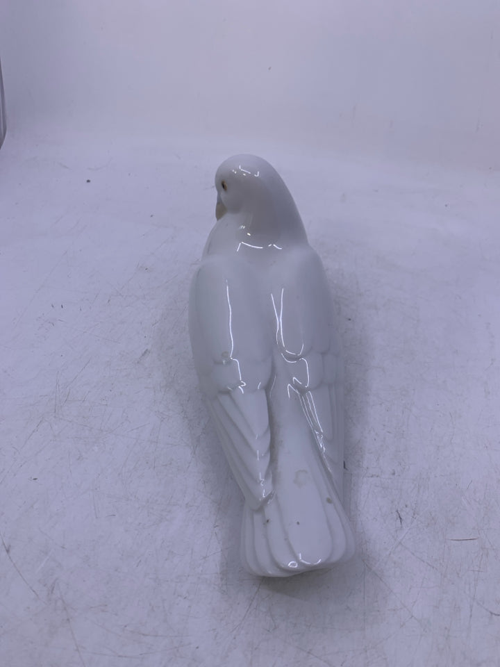 WHITE DOVE LAYING DOWN.