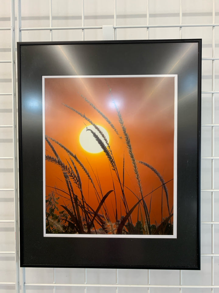 WHEAT IN THE SUN PRINT IN BLACK FRAME.