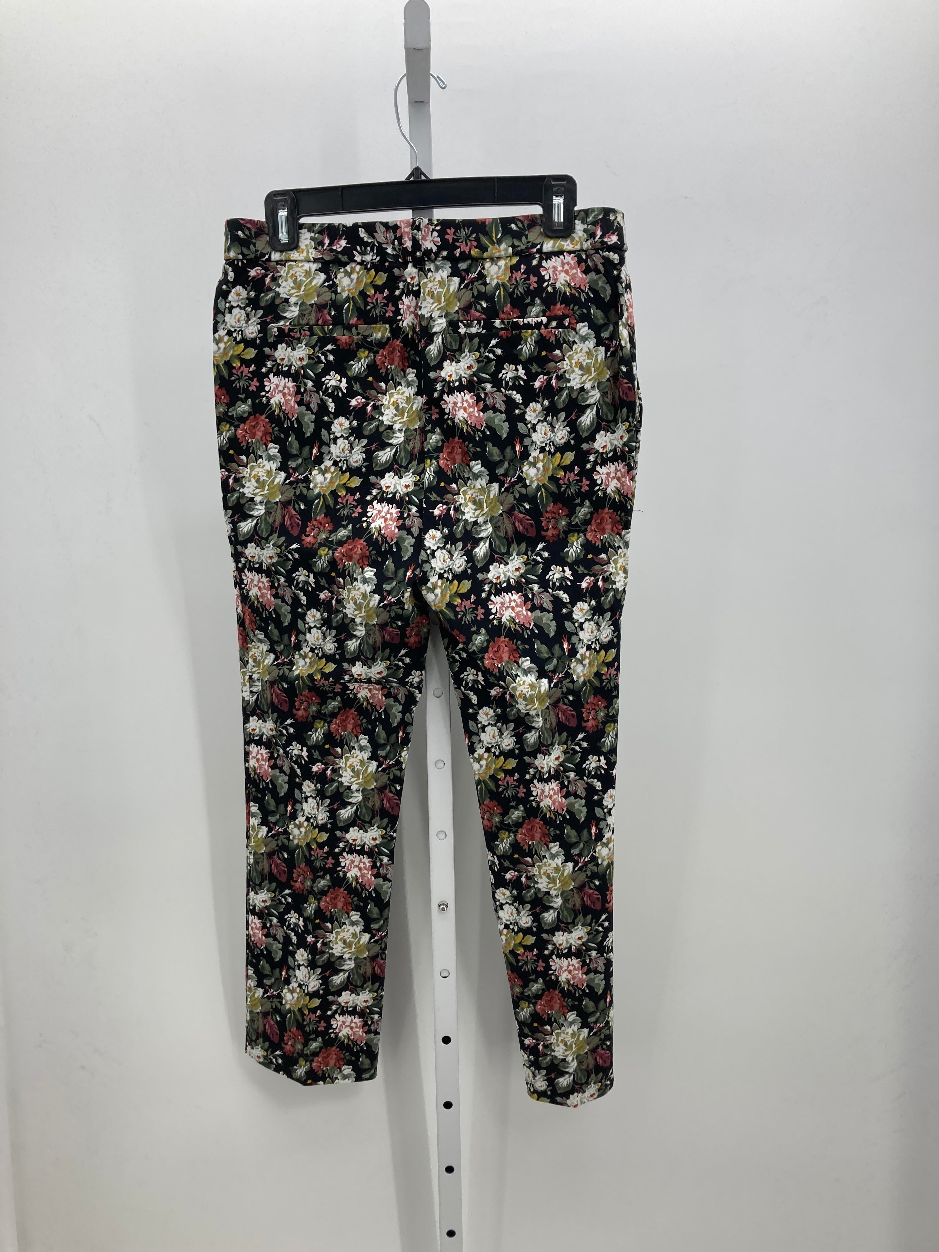 Jules & Leopold Size Medium Misses Pants