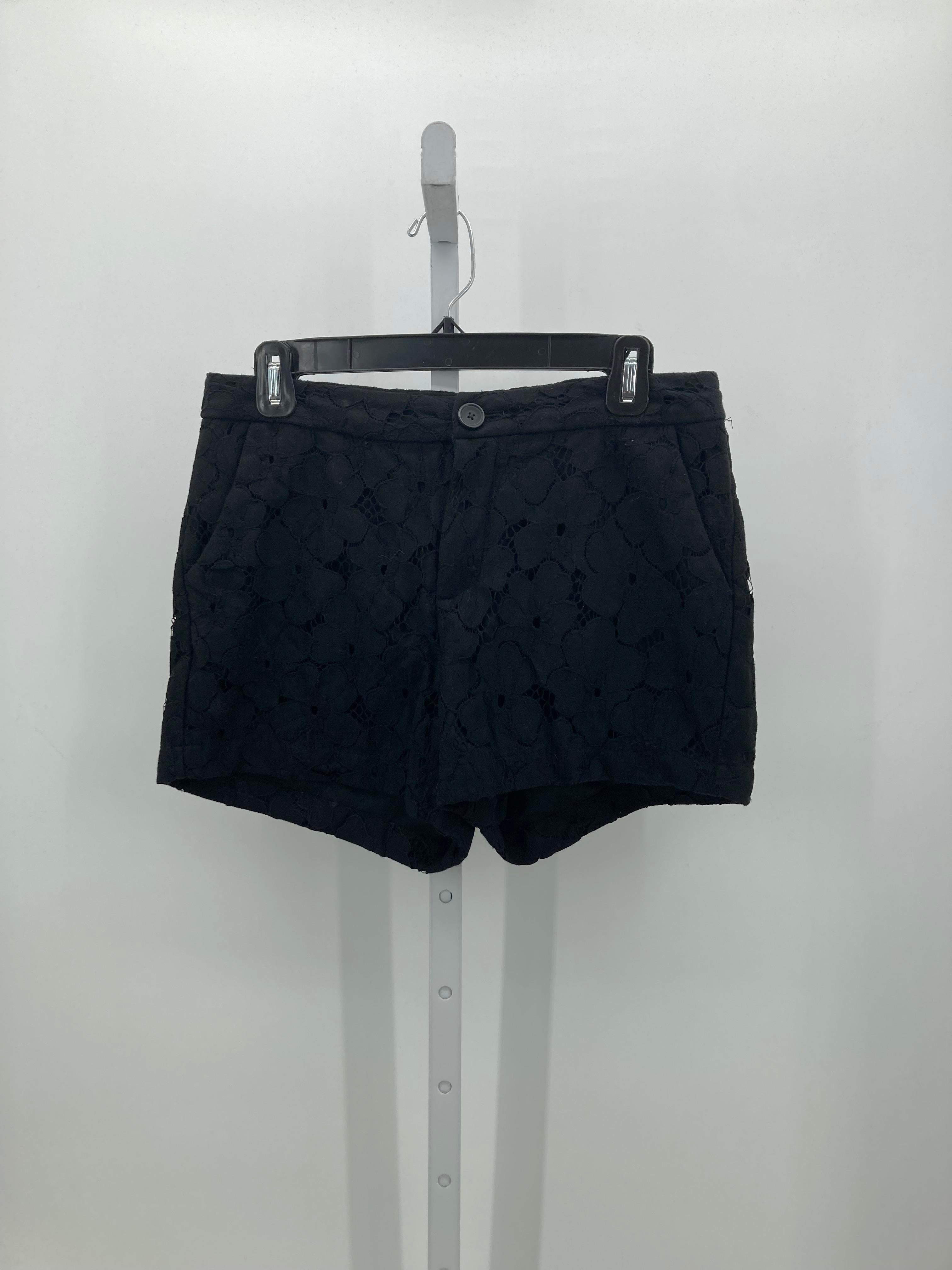 Lauren Conrad Size 6 Misses Shorts