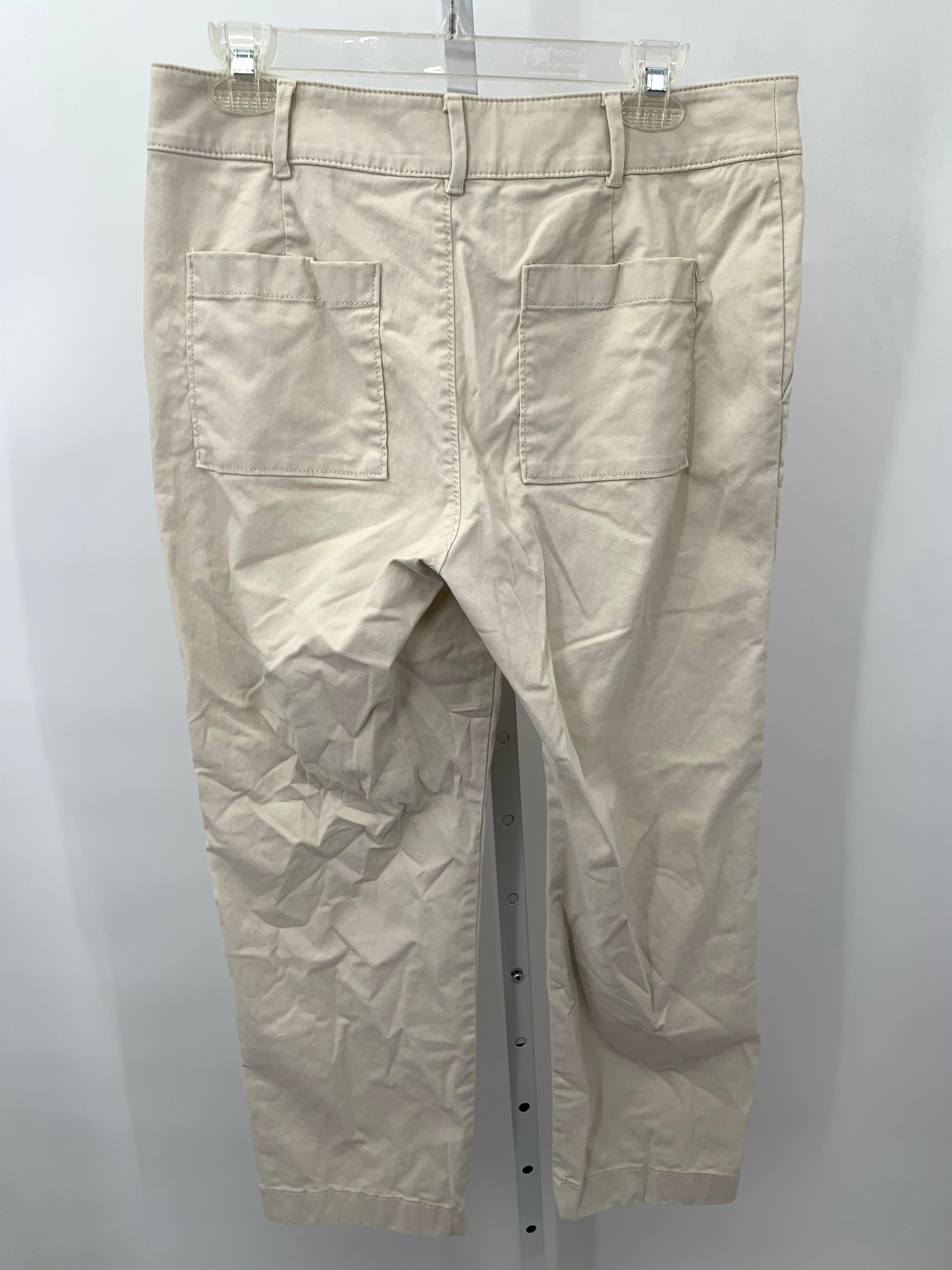 Loft Size 8 Misses Pants