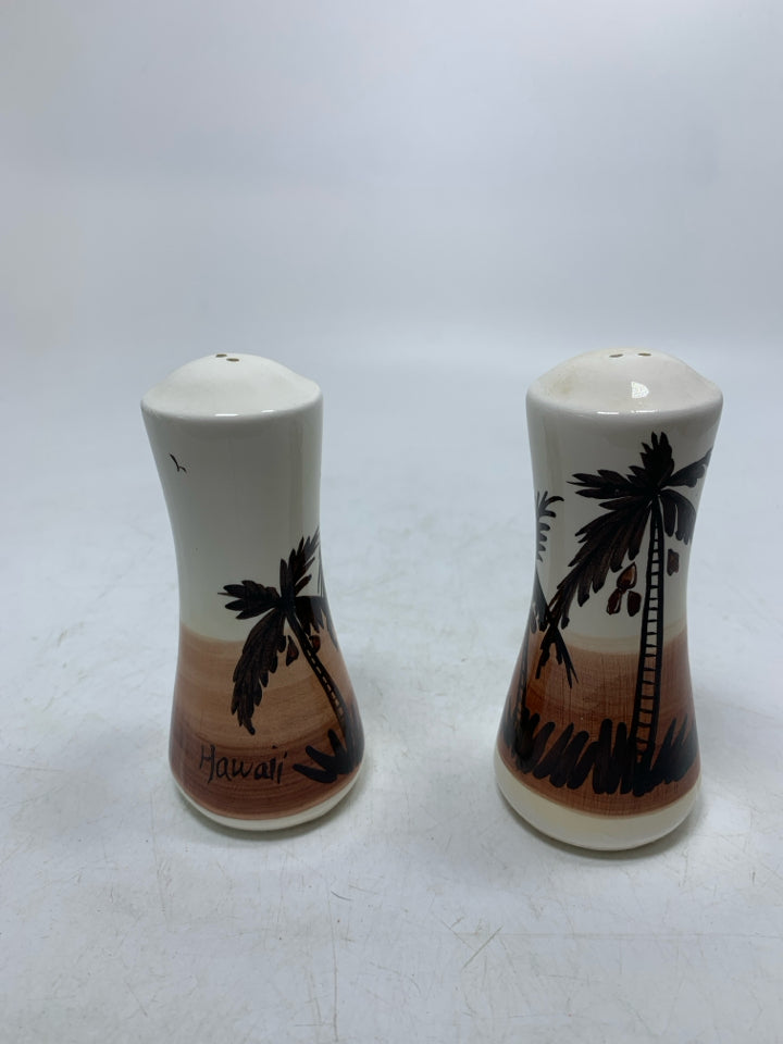 HAWAII THEME SALT/PEPPER SHAKERS.