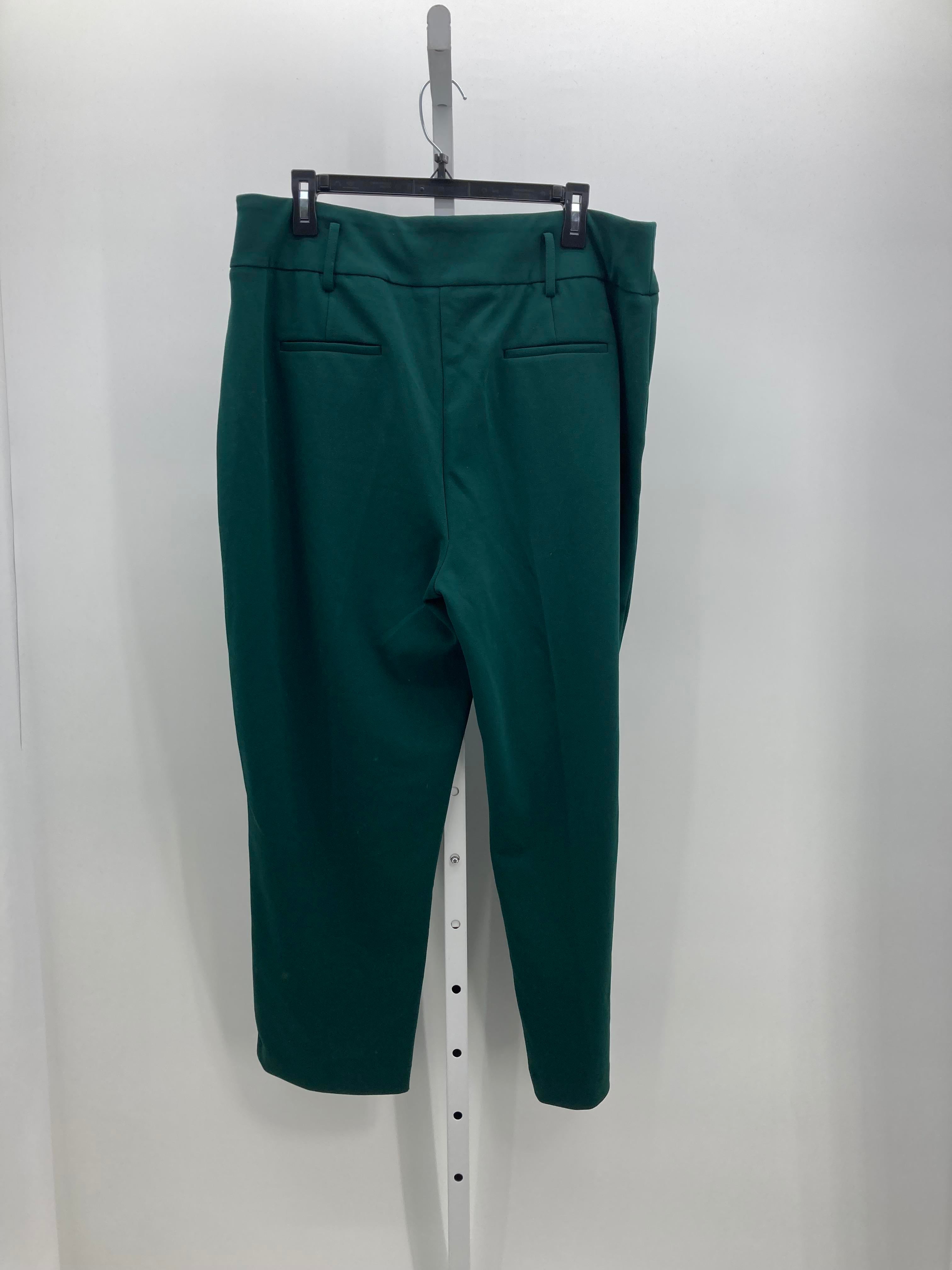 Size Extra Large Misses Pants