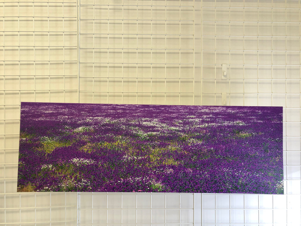 FIELD OF PURPLE/WHITE/GREEN WILD FLOWER CANVAS WALL HANGING.
