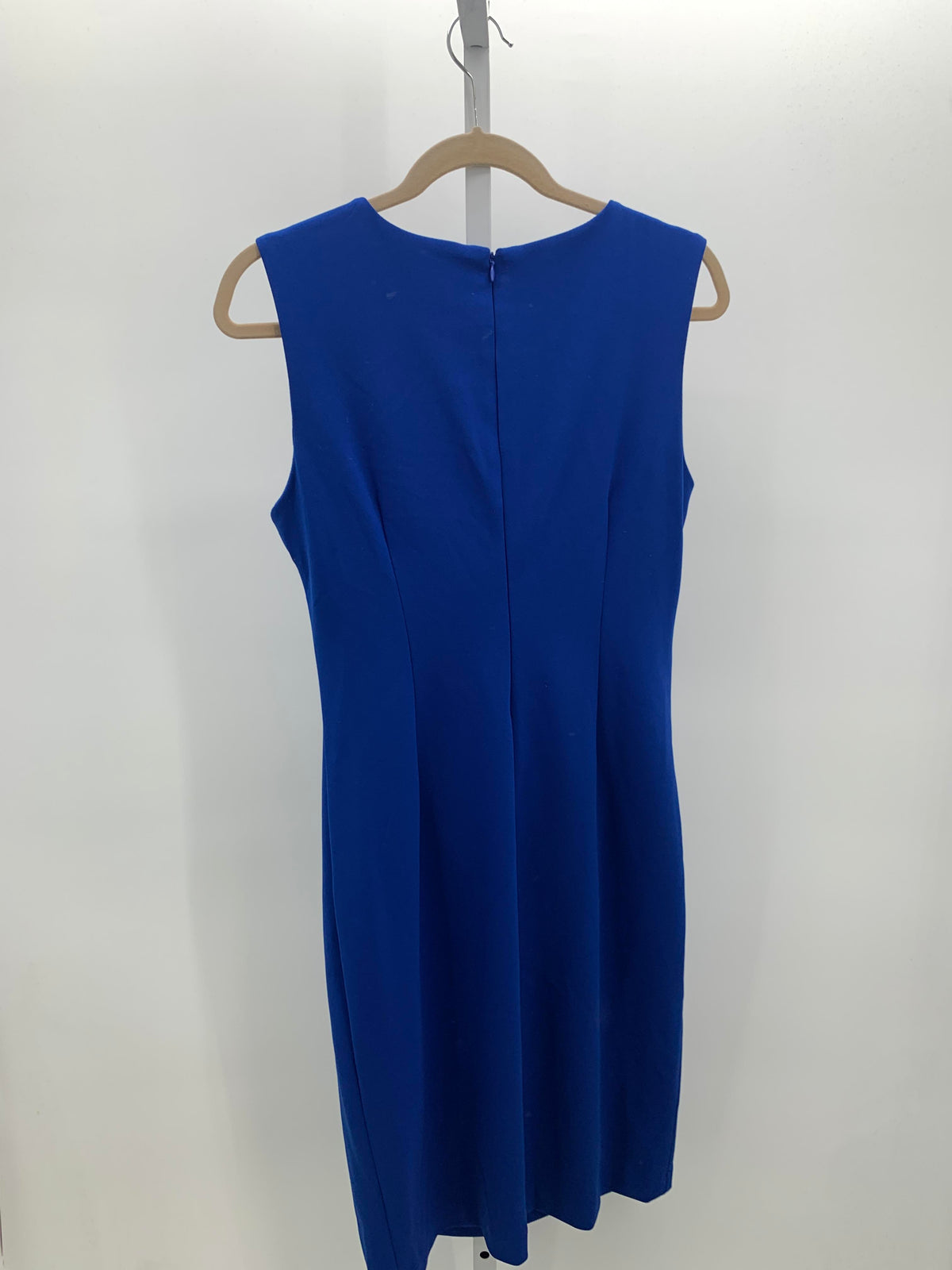 Calvin Klein Size 10 Misses Sleeveless Dress