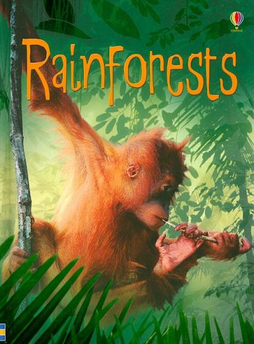 Rainforests (Hardcover) by Lucy Beckett-Bowman Samantha Meredith - Lucy Bowman