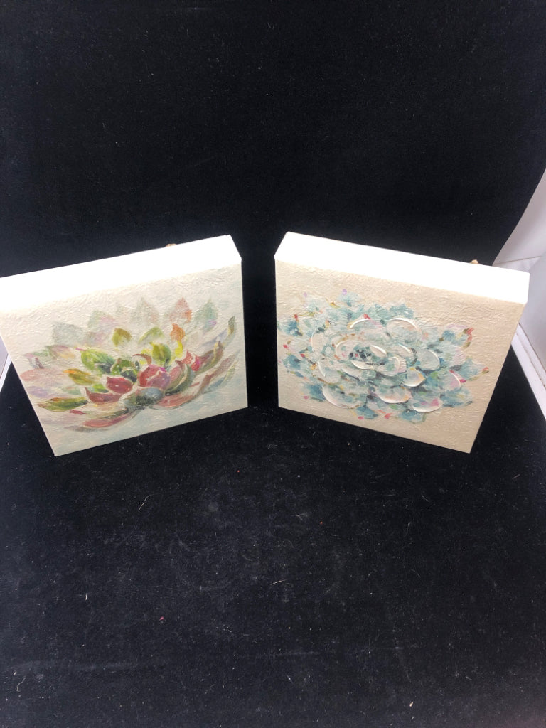2 SMALL SQUARE ASSORTED SUCCULENTS CANVAS.