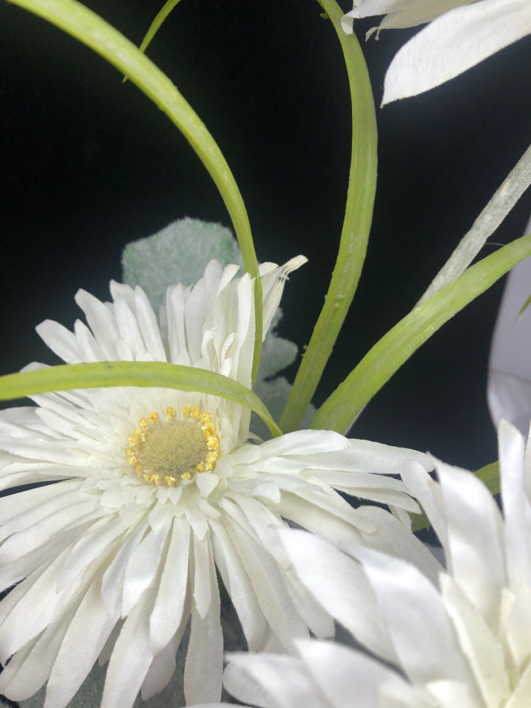 WHITE FLOWERS W/FUZZY LEAVES IN BOX PLANTER.