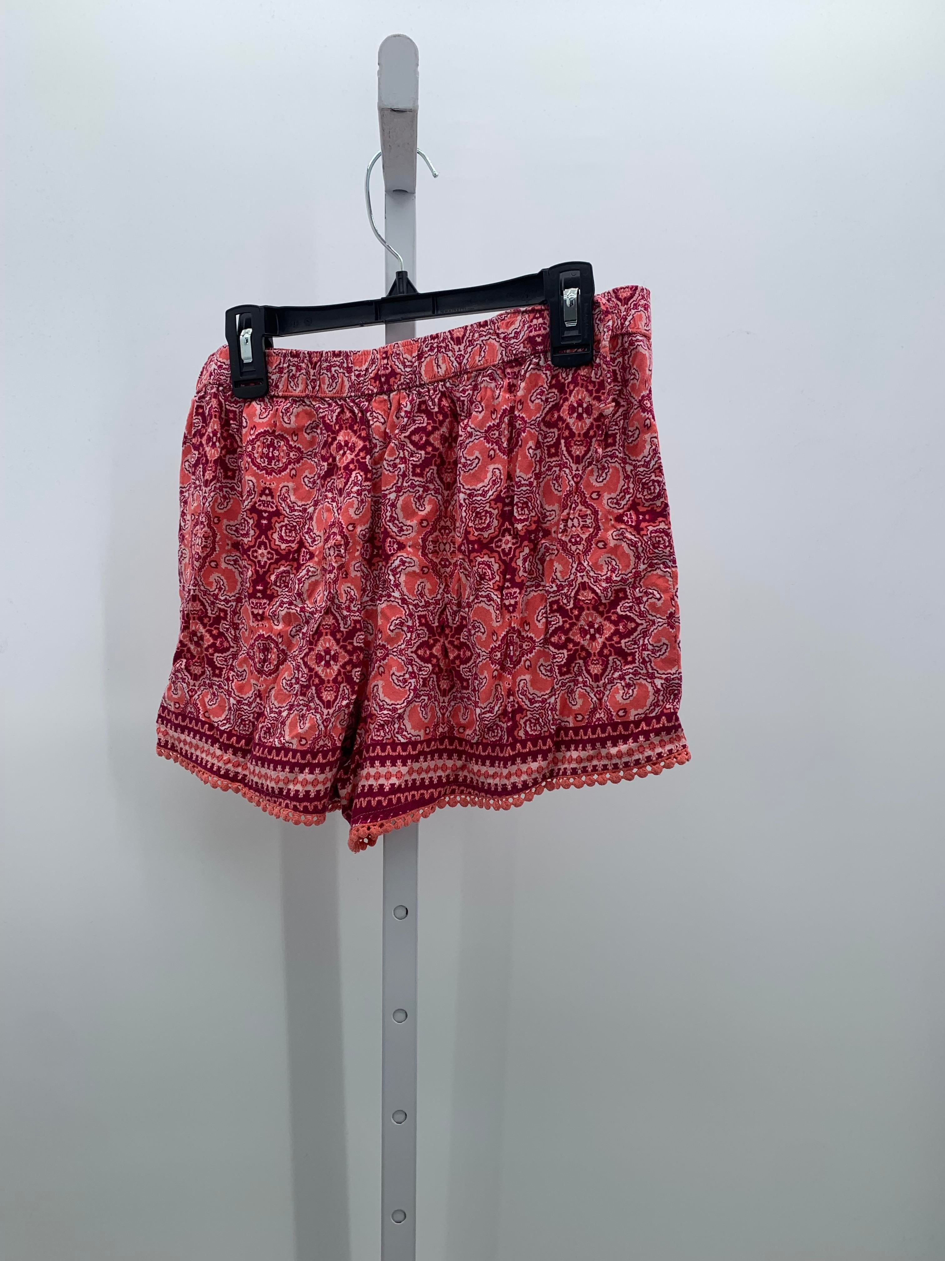 Hollister Size Small Juniors Shorts