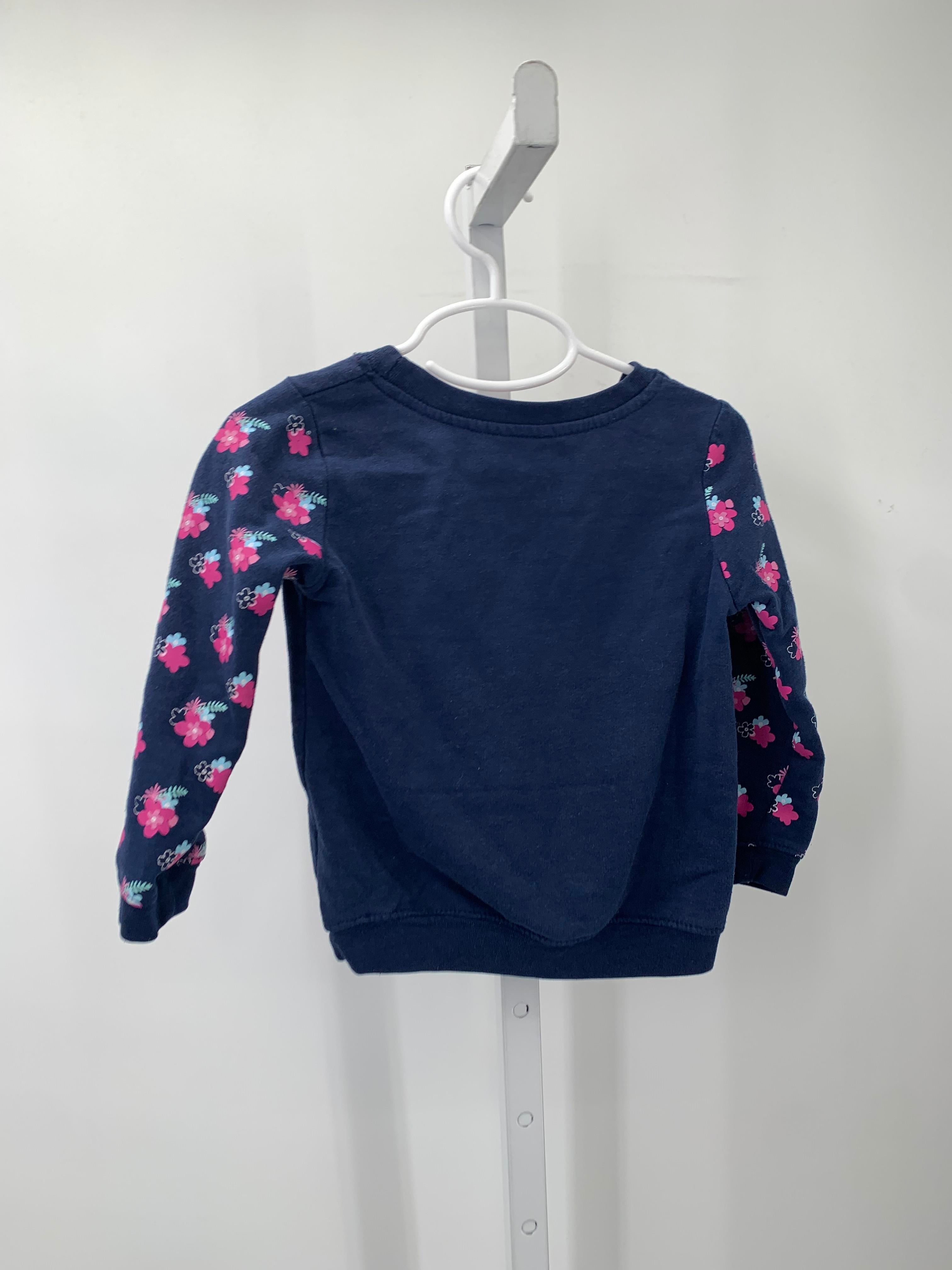 Size 3T Girls Long Sleeve Shirt