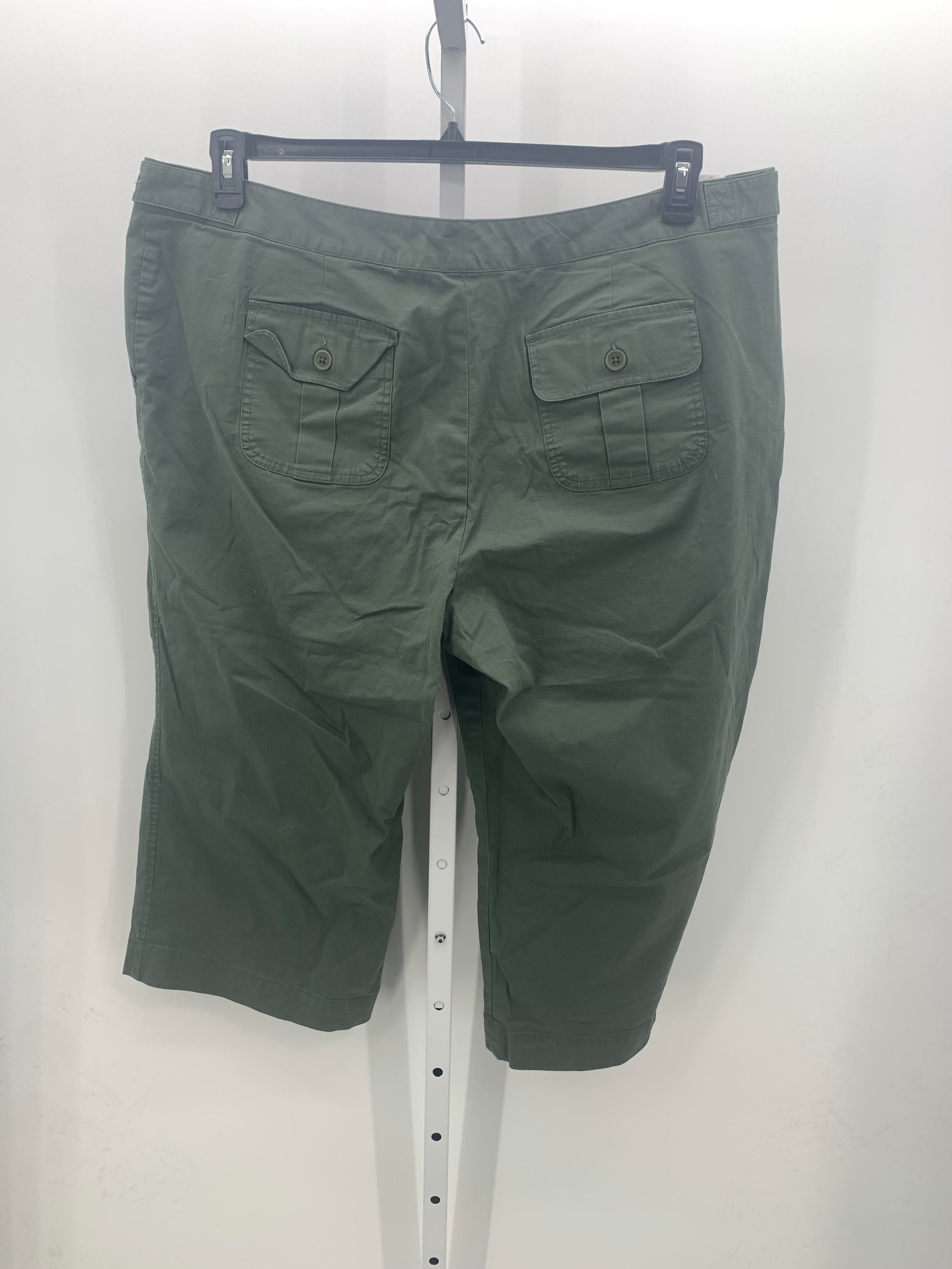 Daisy Fuentes Size 22 W Womens Capri Pants