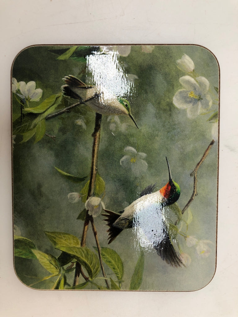 6 JASON BIRD COASTERS IN BOX.