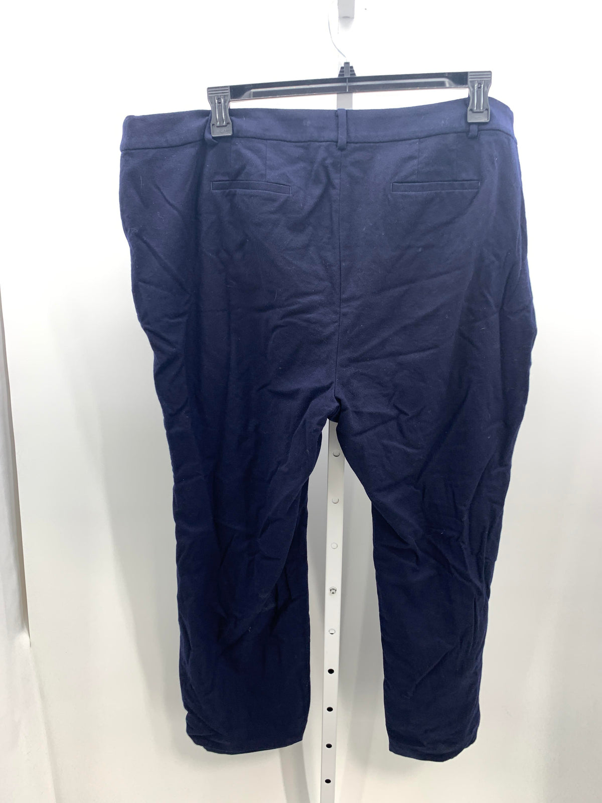 Talbots Size 22WP Womens Pants