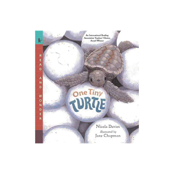One Tiny Turtle : Read and Wonder by Nicola Davies - Davies, Nicola / Chapman, J