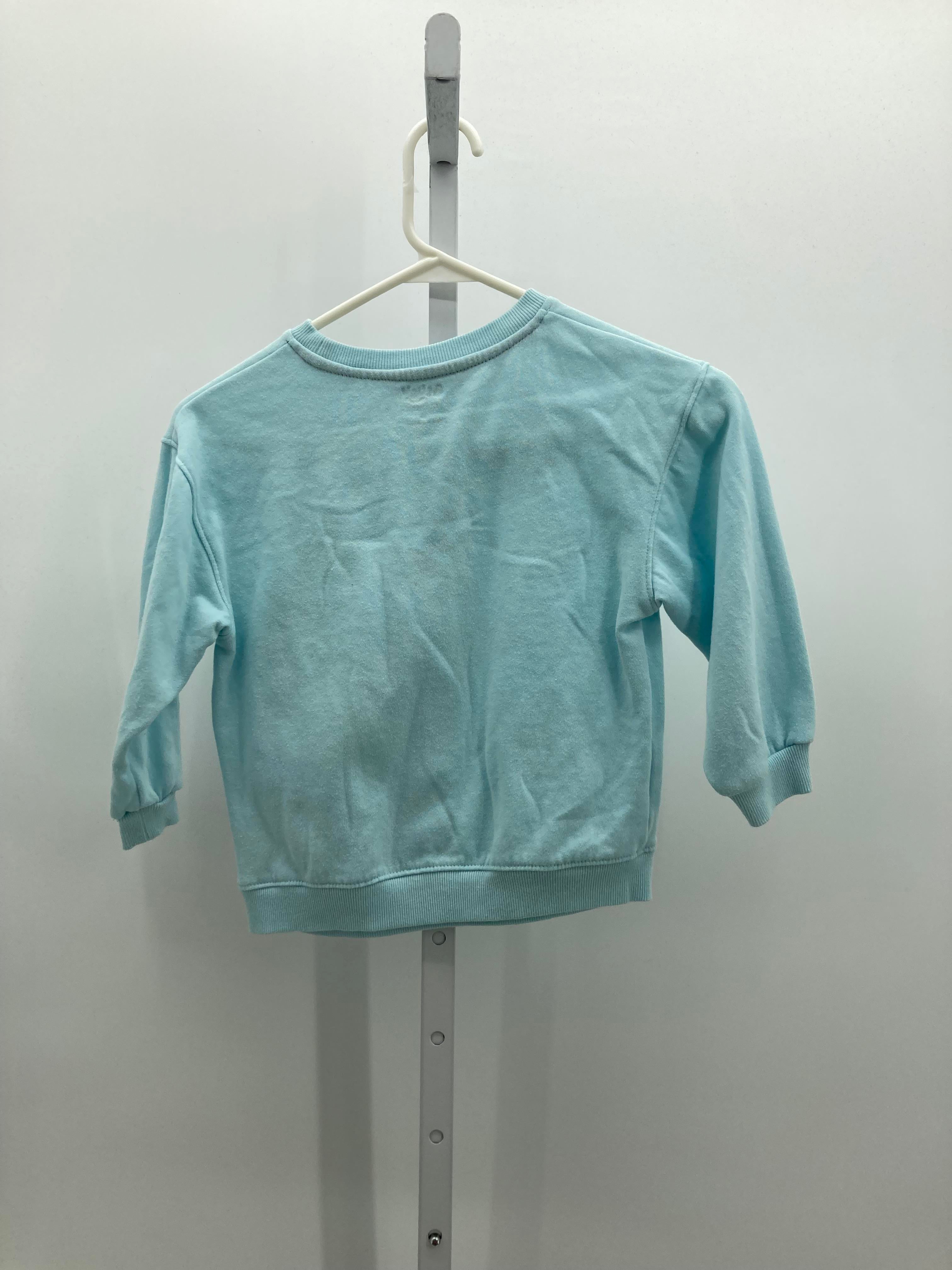 Size 5T Girls Long Sleeve Shirt